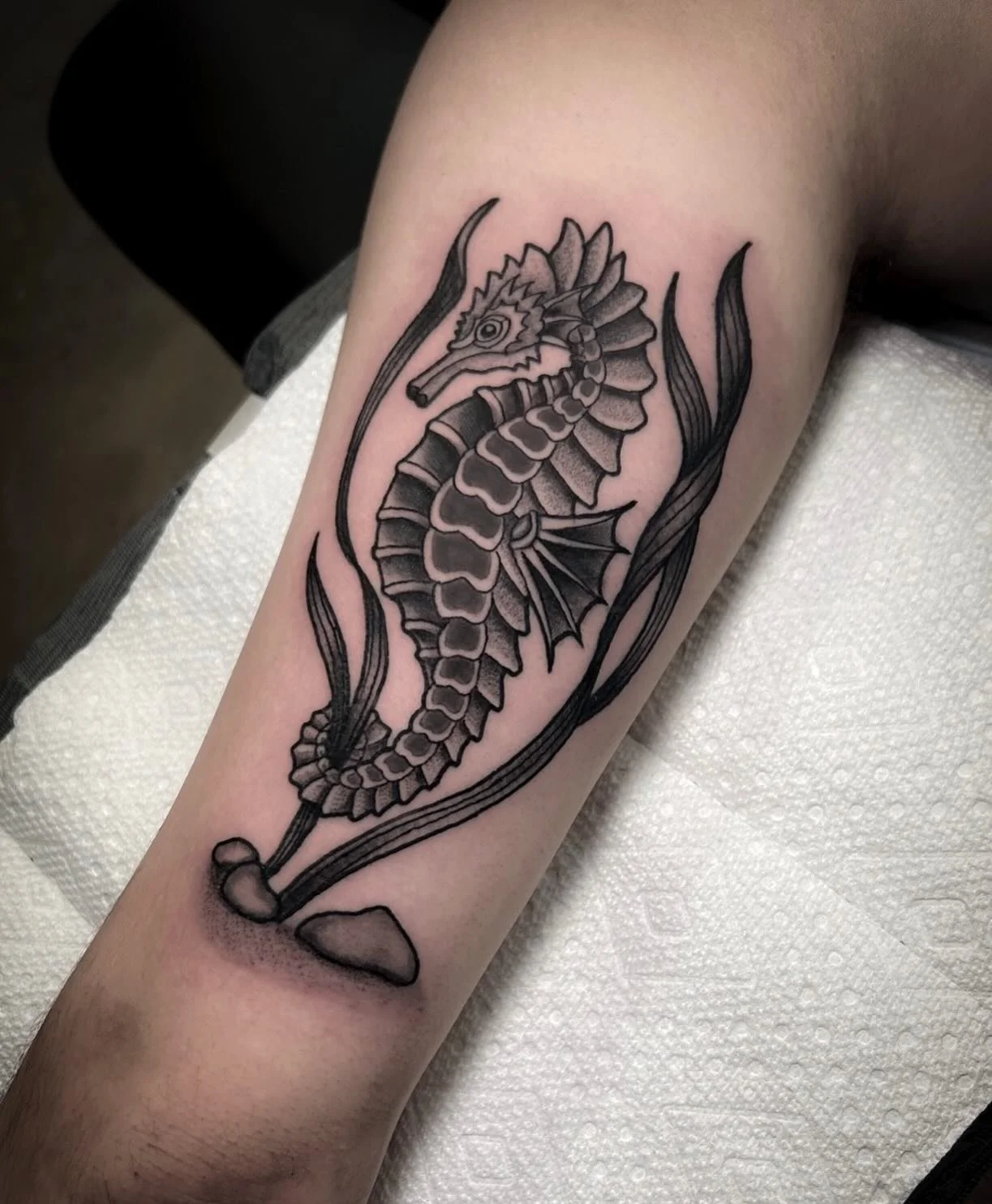 Seahorses are wild. They have no stomach so they have to eat constantly to survive. Many form long term or life long bonds. They are some of the slowest fish in the ocean and the males carry the eggs. Dream partner, huh? For Orlando.
#denvertattooa