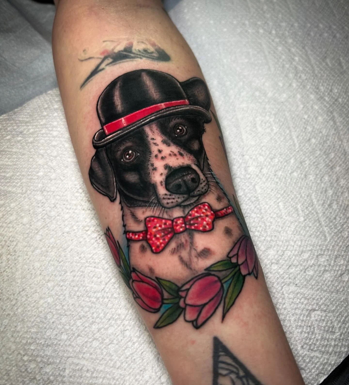 Very special memorial for the goodest boy, Howl. It is truly an honor to be trusted to capture those that you love. I take it as no small ask and am delighted to stare at animals all day while reminiscing with you. I hope to have the honor to tattoo 