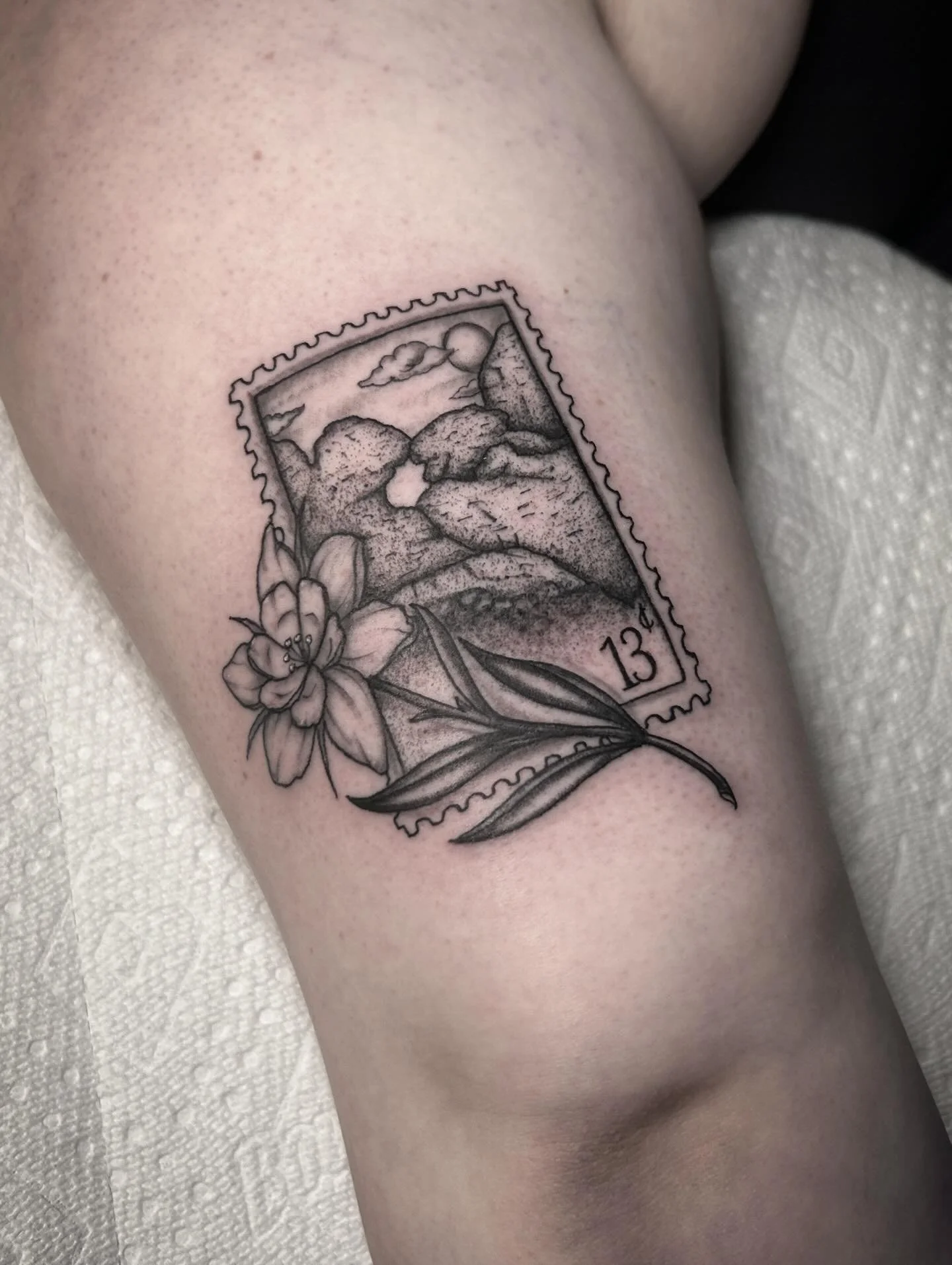 Kissing Camels from Garden of the Gods and a columbine for the most classic Colorado homage 💕 Pareidolia is the psychological phenomenon of seeing recognizable shapes, faces, or patterns in random, ambiguous objects. Humans are cool. Let&rsquo;s do 