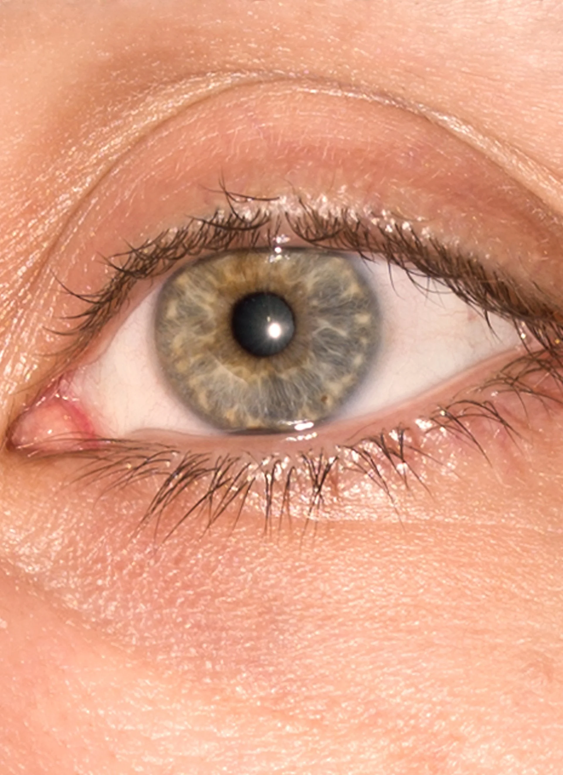 Close-up of a human eye with hazel iris and visible eyelashes.
