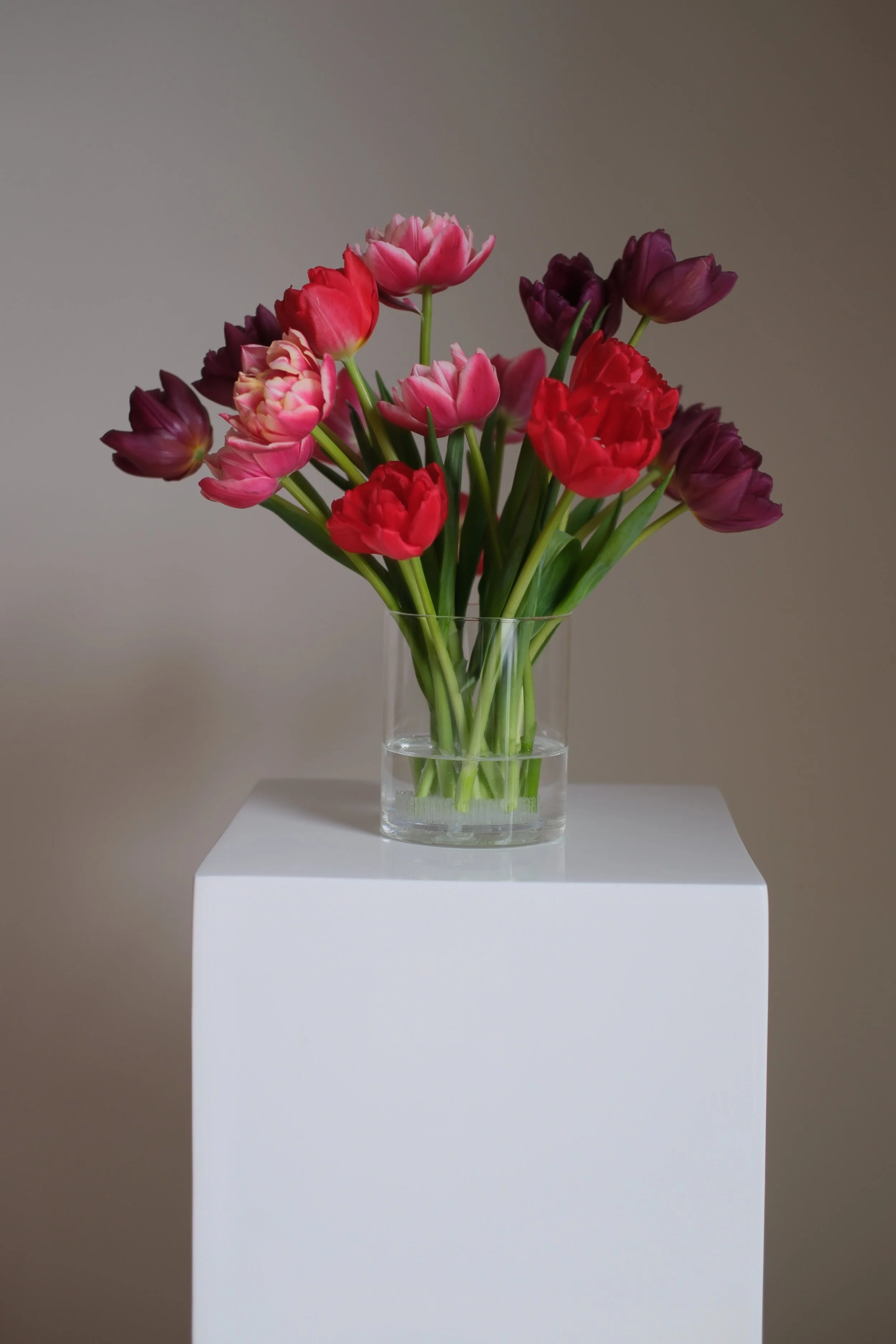Locally Grown Tulips, Medium Arrangement