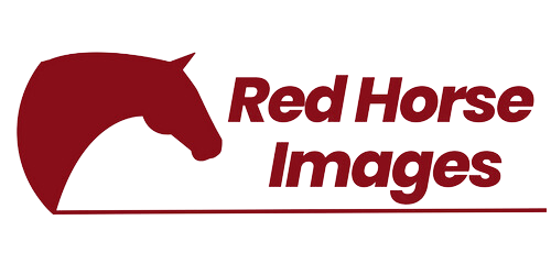 Red Horse Images