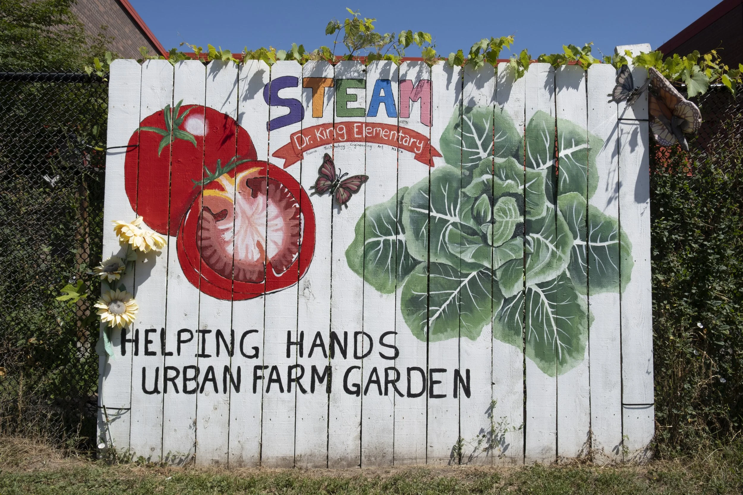 Food Sovereignty Across Cultures and Communities