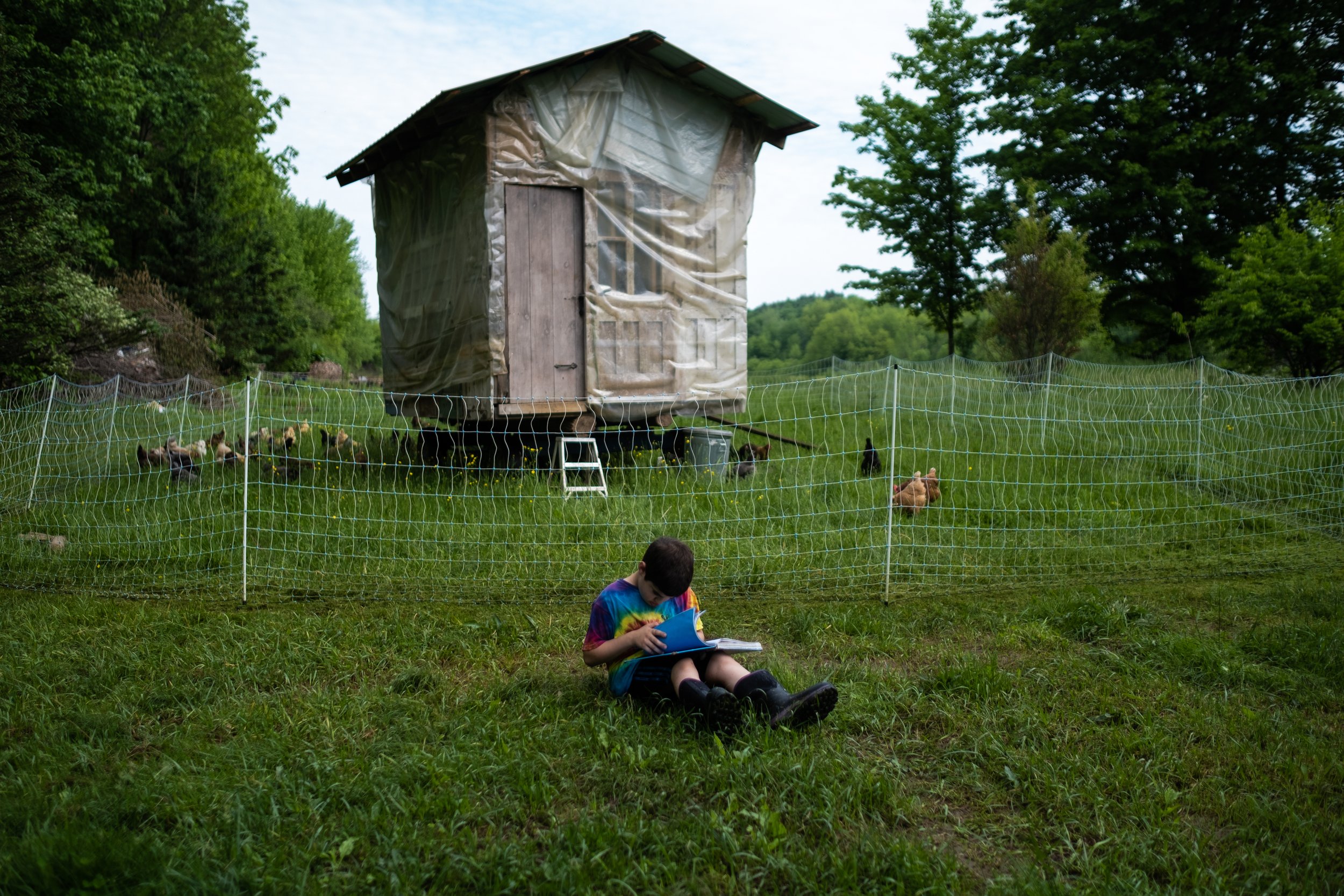 young boy writing in front of chicken coop