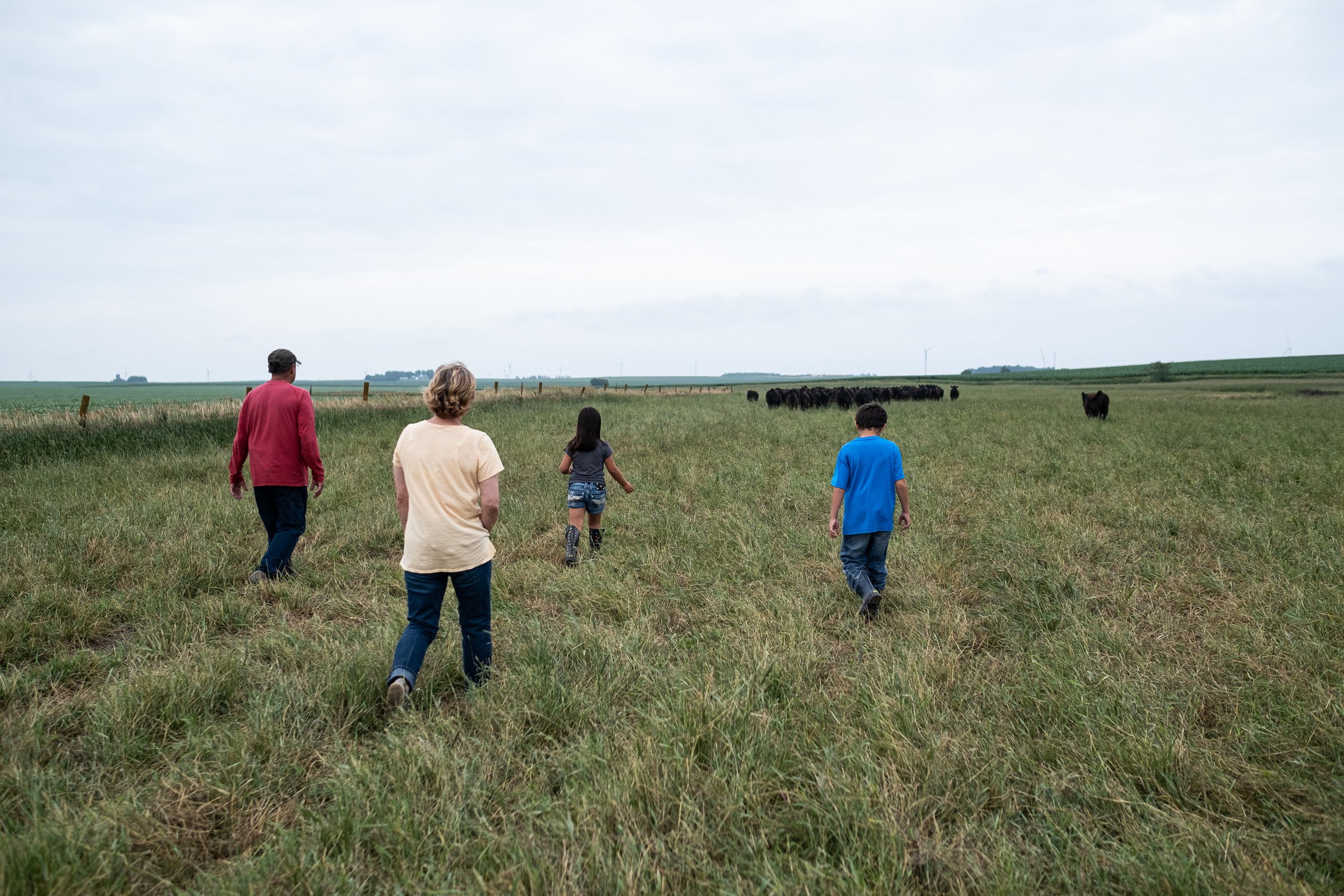 Family walking through open field