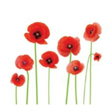 Poppy Logo.PNG