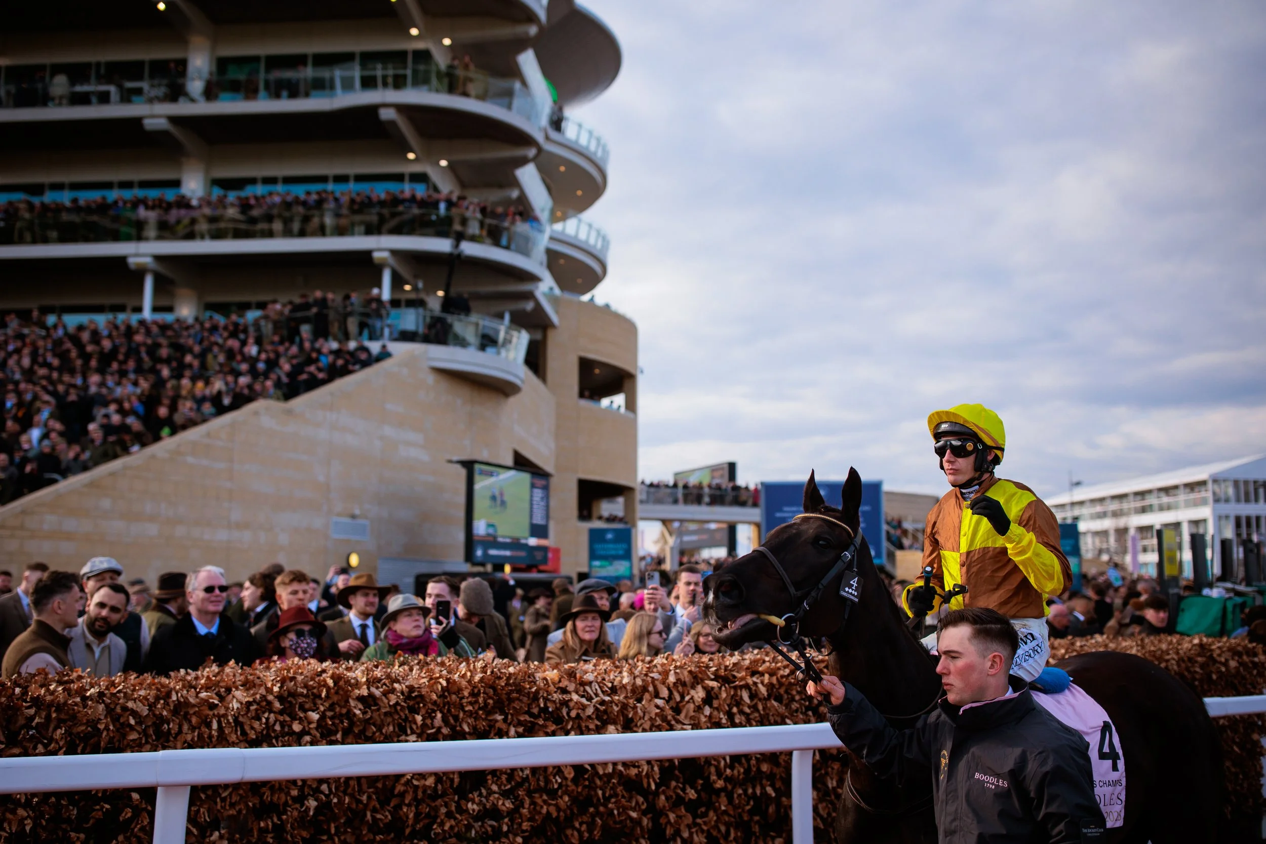 Cheltenham-0275.jpg