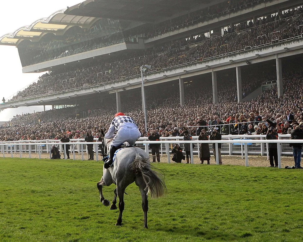 Jockey riding a gray horse on a racecourse with a large crowd in the stadium watching.