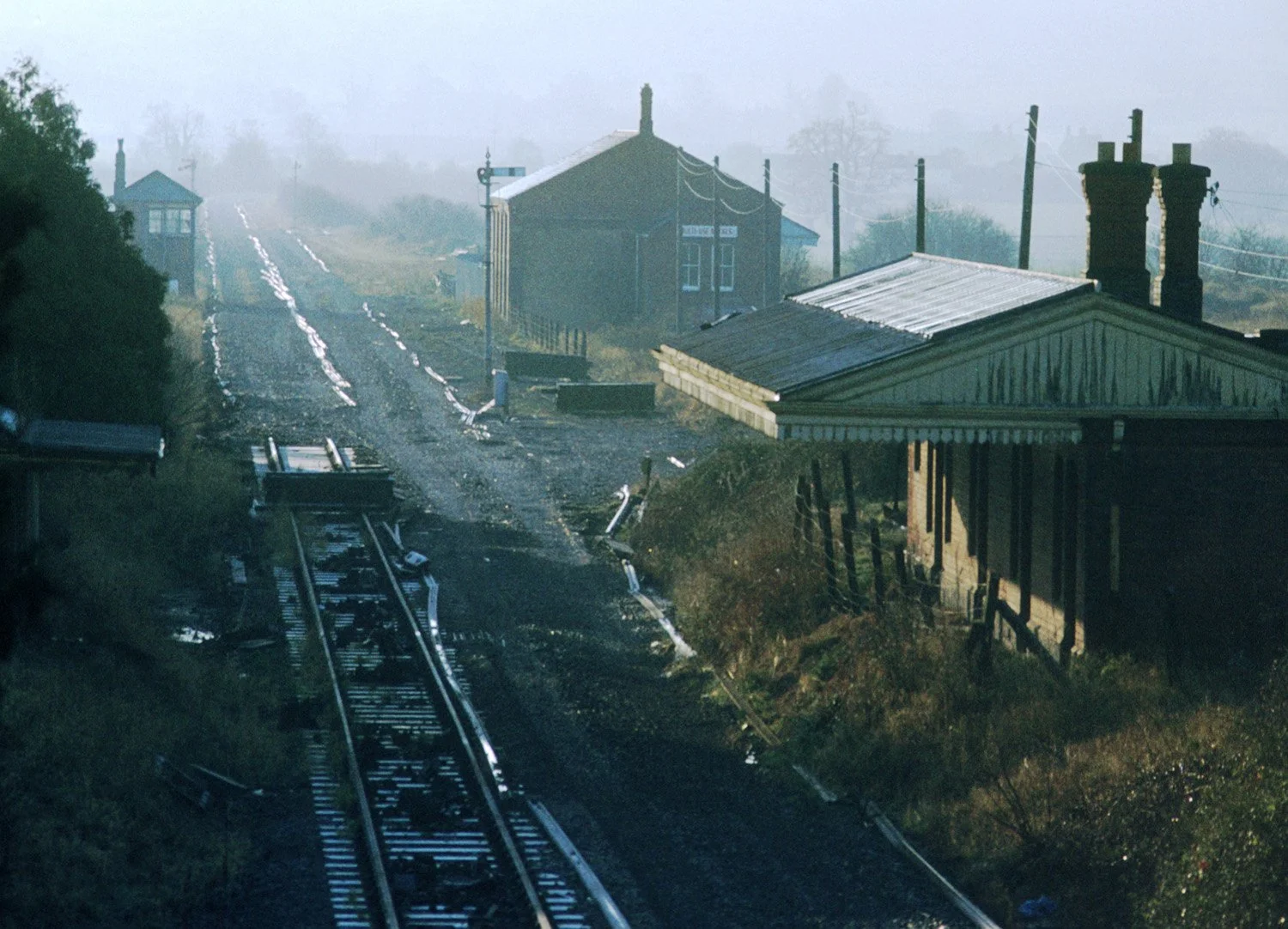 Steam Train History | Explore Vintage Rides — Classic Hospitality