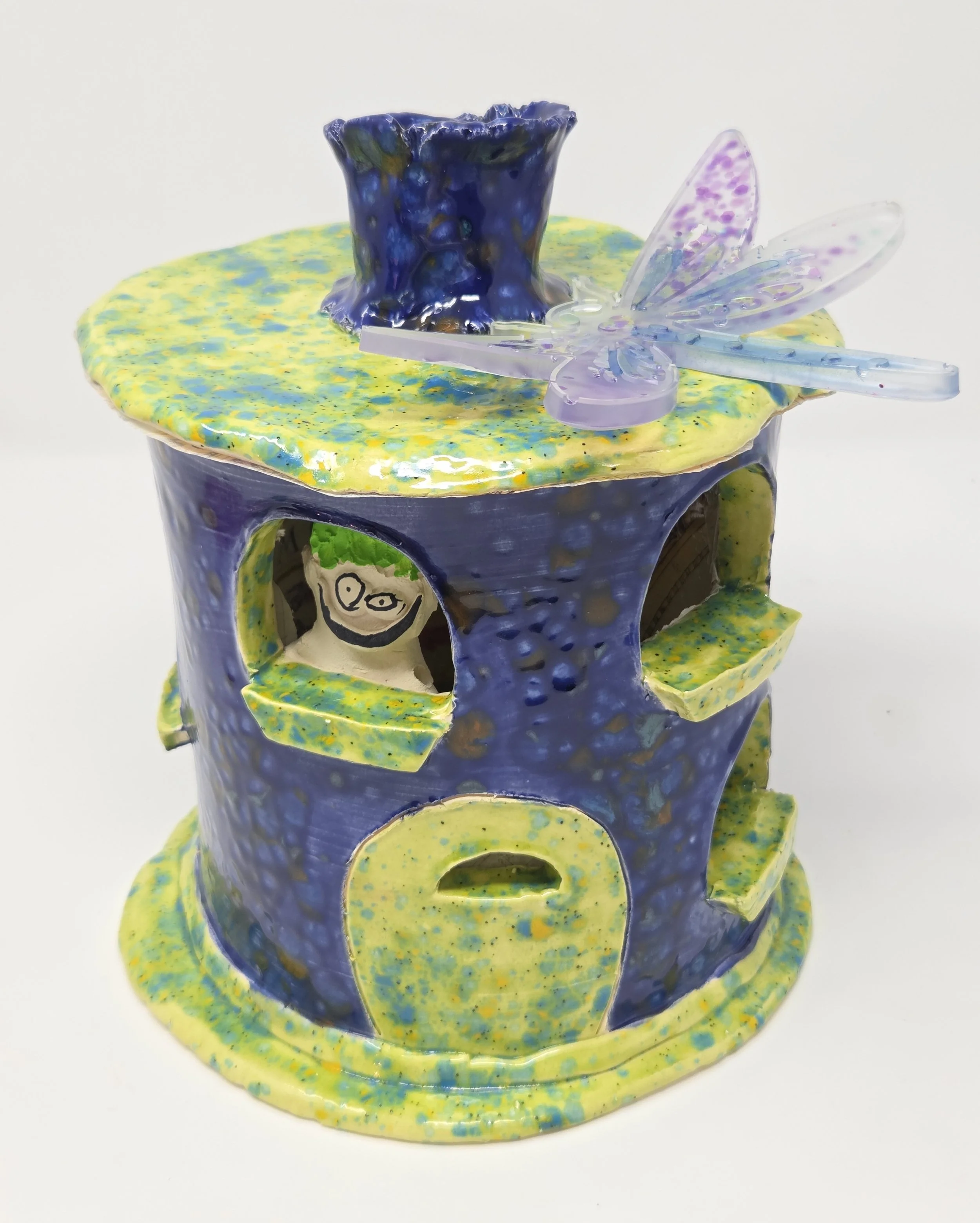 Blue House with Dragonfly!