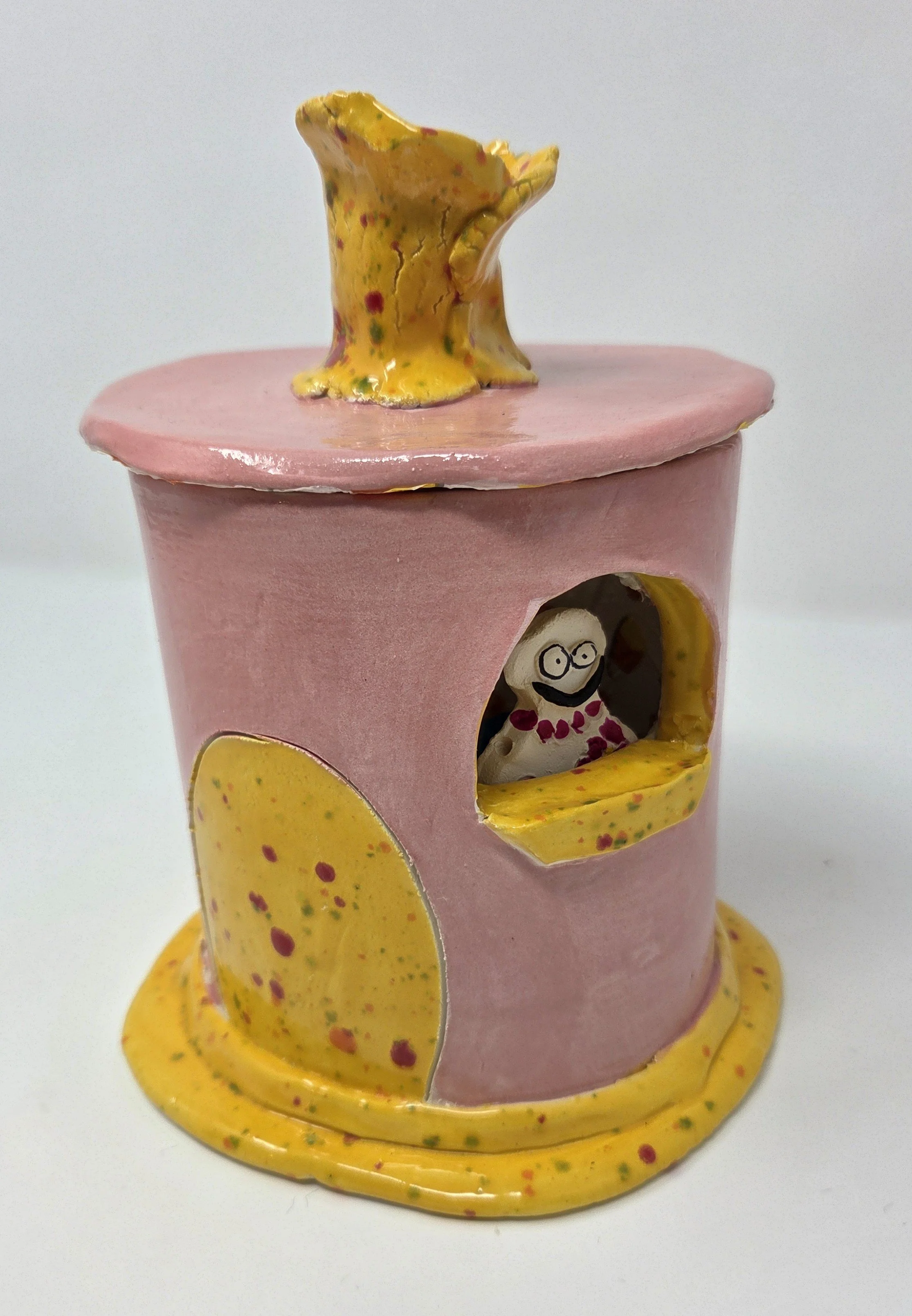 Tiny Pink House!