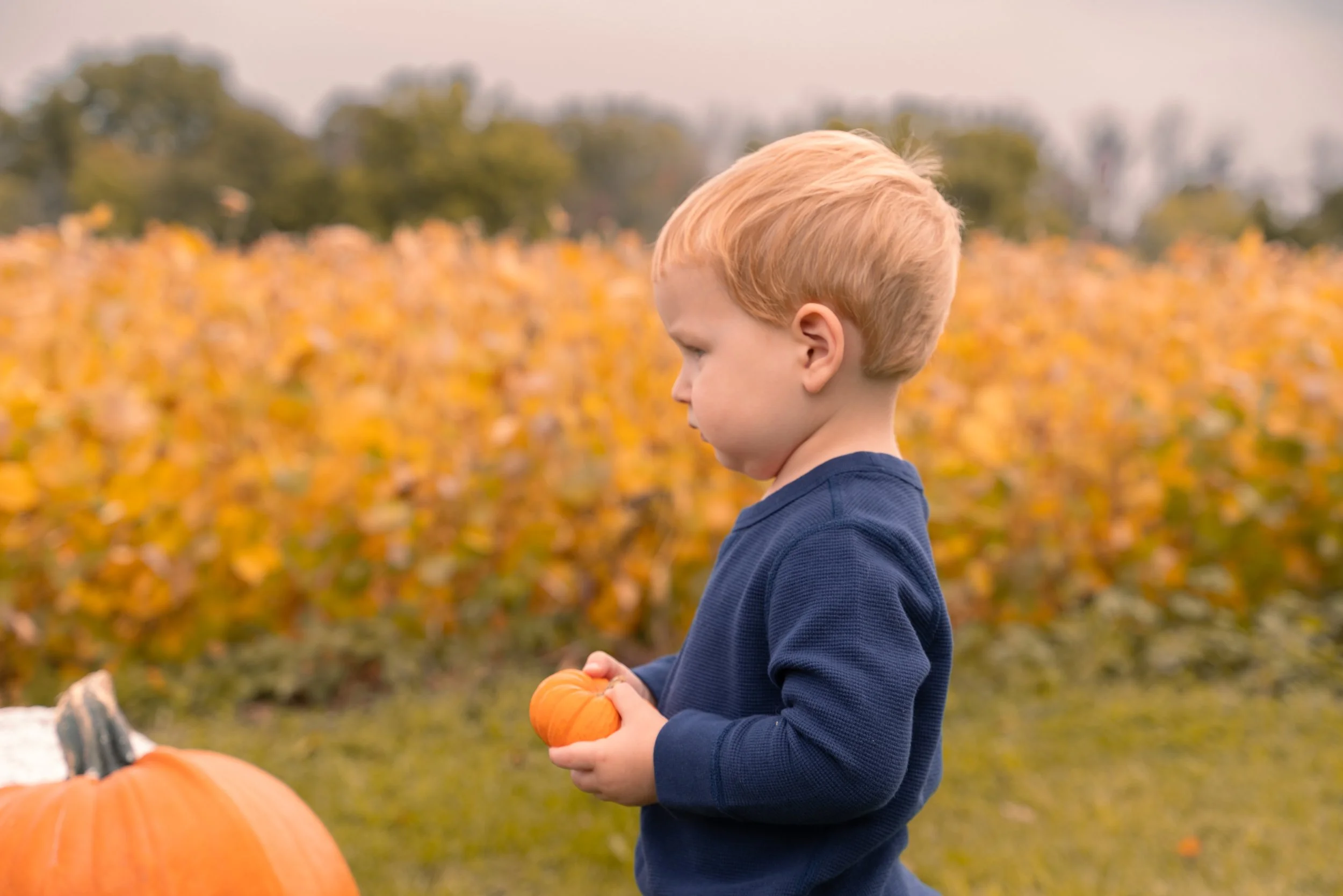 Fall Mini Finals-1.jpg