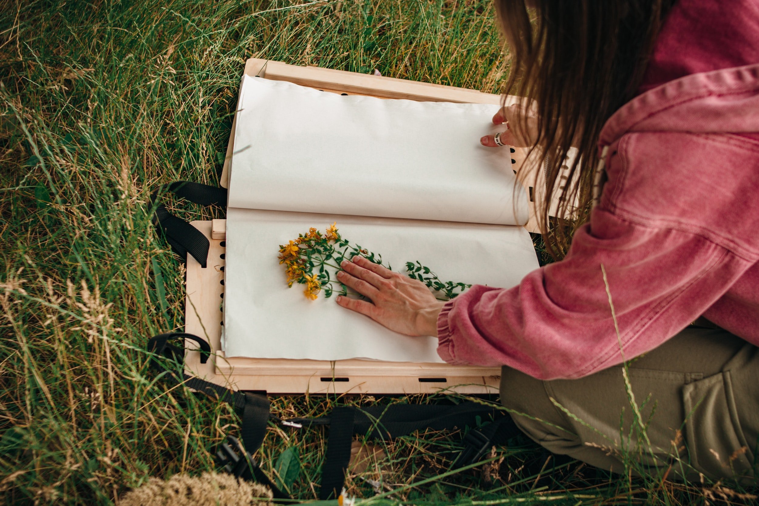 Digitizing Herbarium