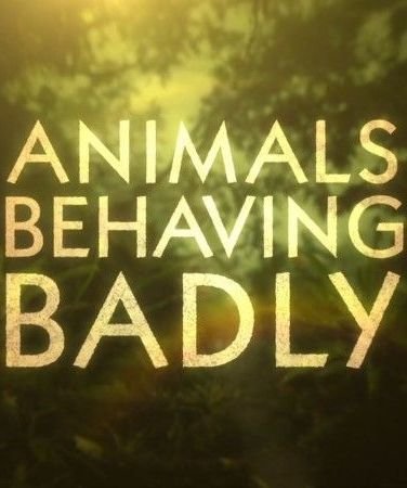 animals behaving badly_laurent juillet.jpg