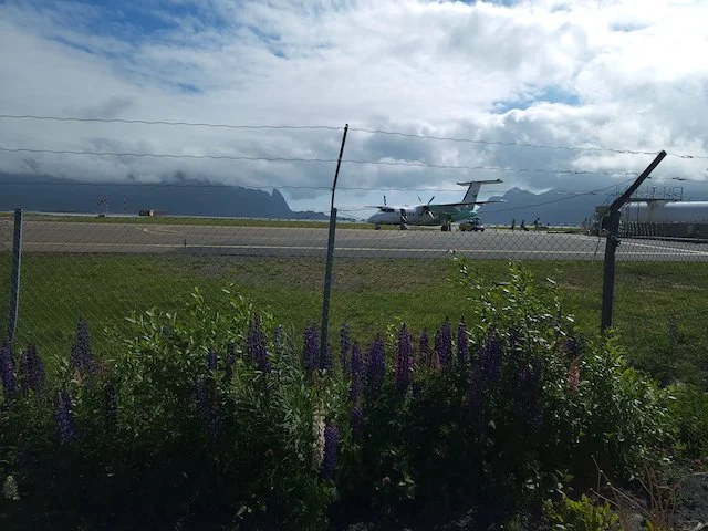 Getting around the Lofoten without a car — Solo Female Wanderer