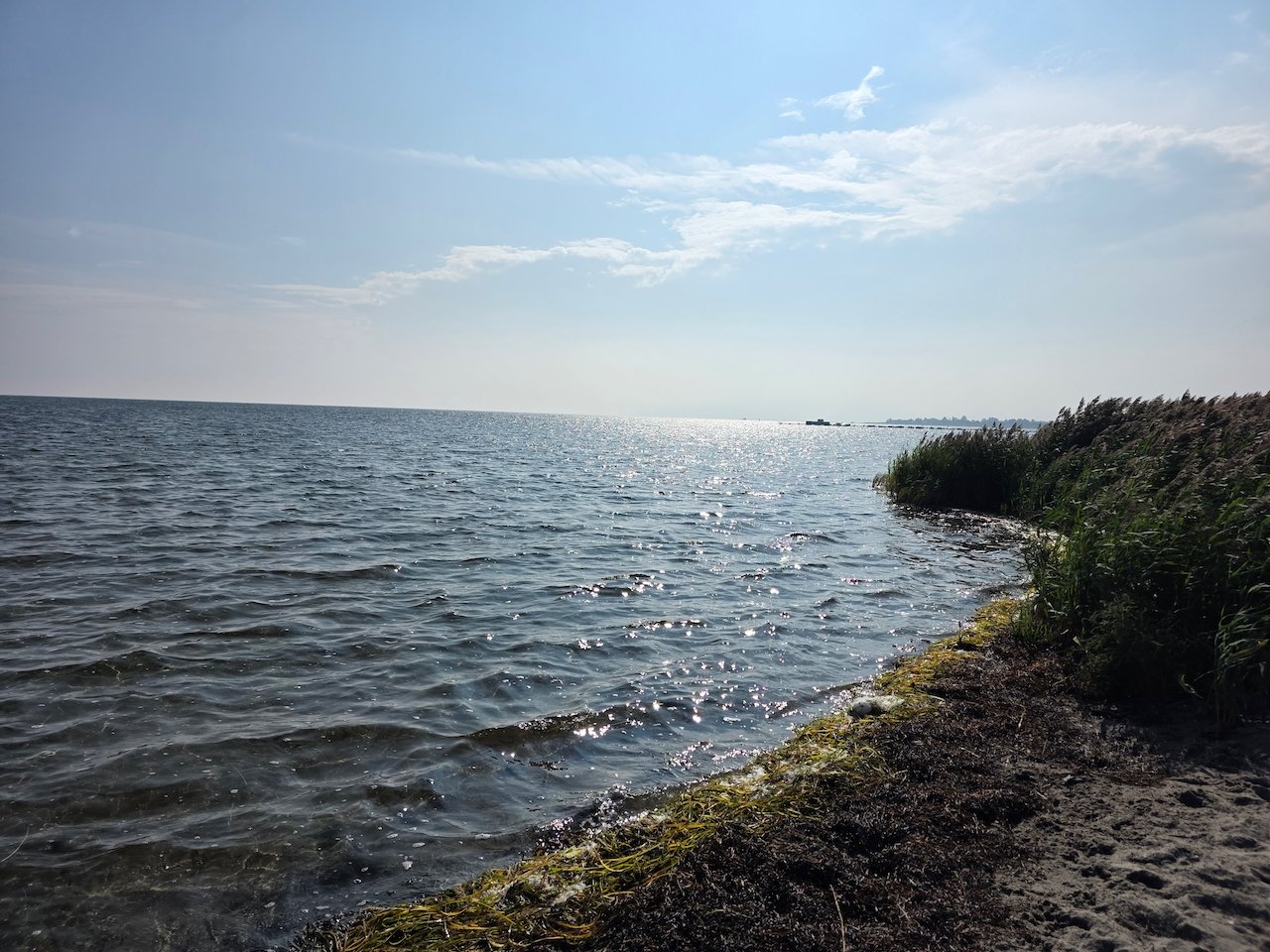Dragør, trolls, geese, and a bike: a Copenhagen day trip — Solo Female ...