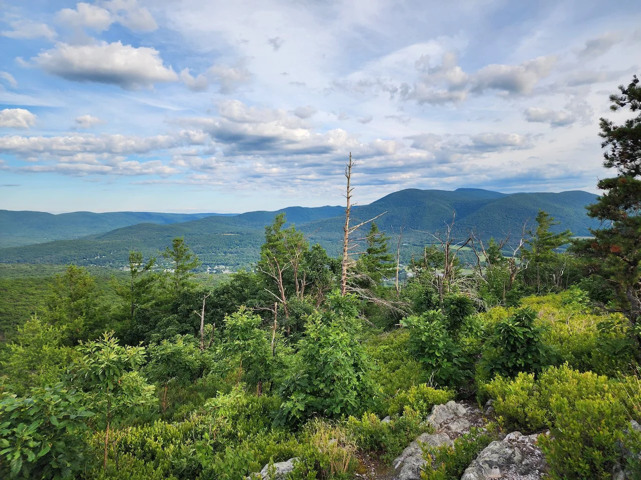 Pine Cobble and Scrub Hill (Berkshires hiking) — Solo Female Wanderer