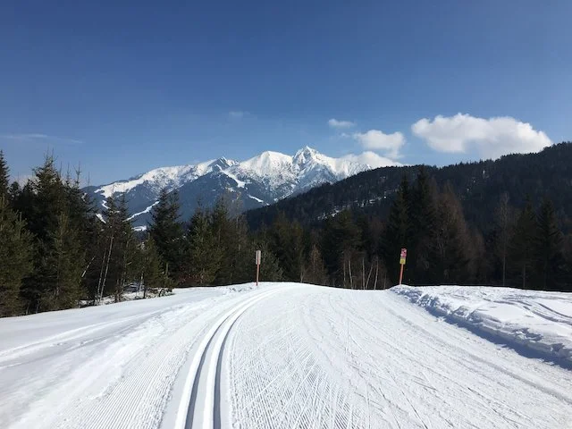Station de ski Seefeld / Rosshütte - Vacances de ski Seefeld