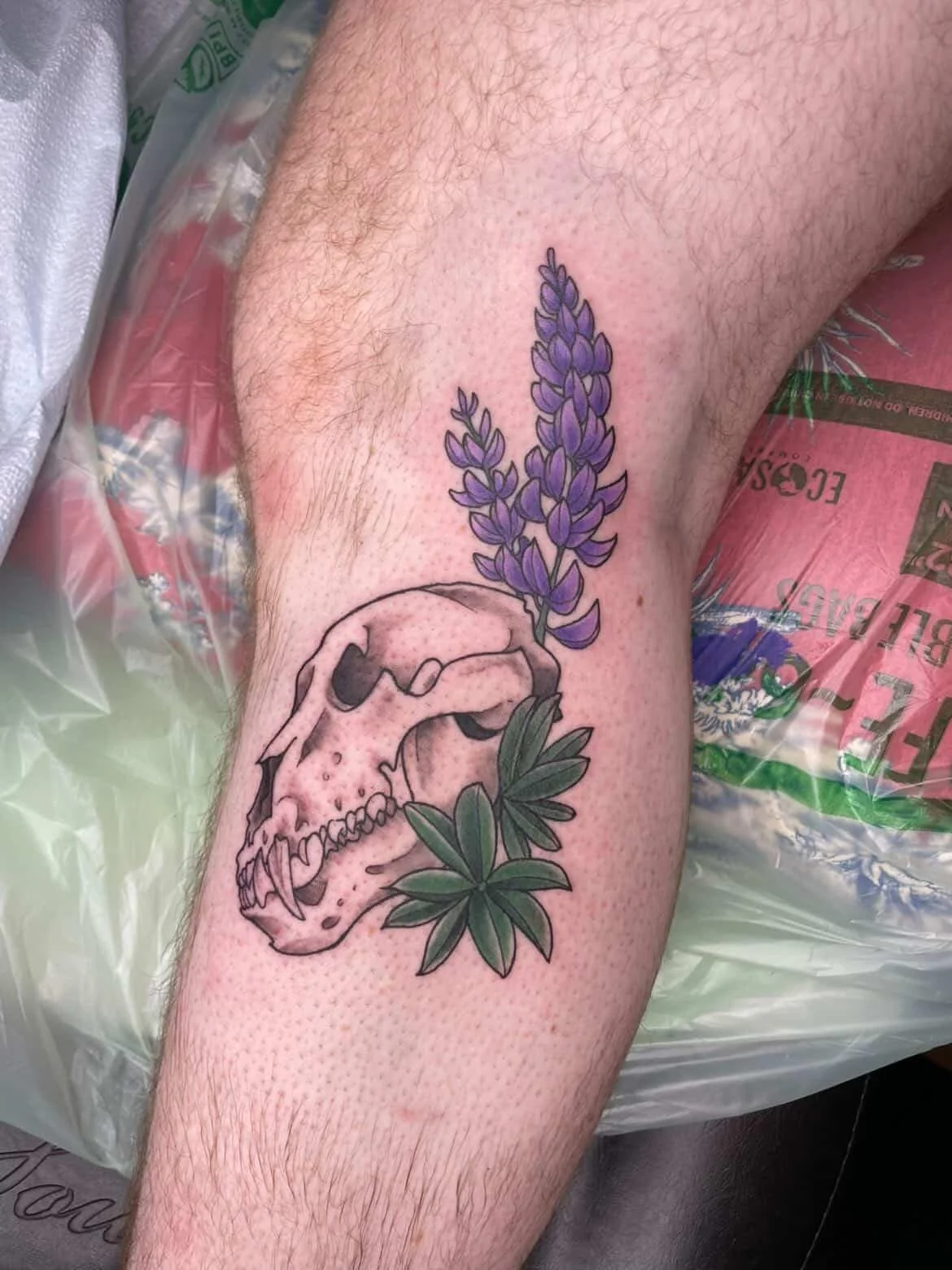 Alaskan Wilderness Inspired