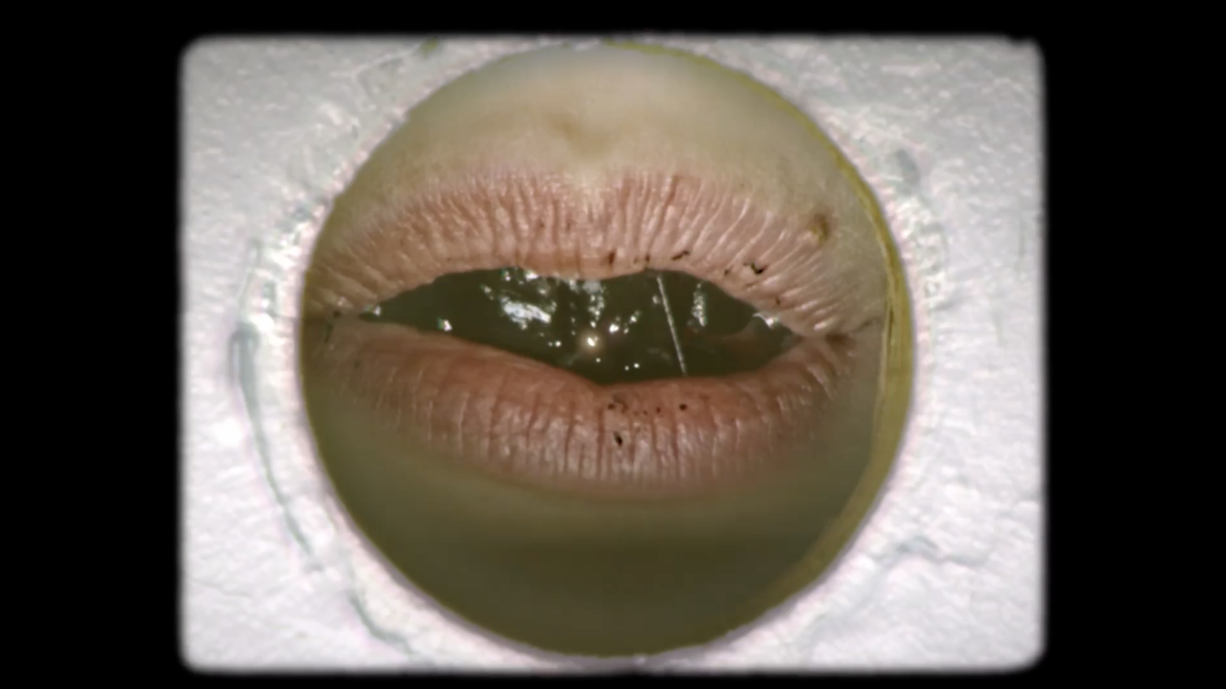 benevolence utah - Pulling Mouth