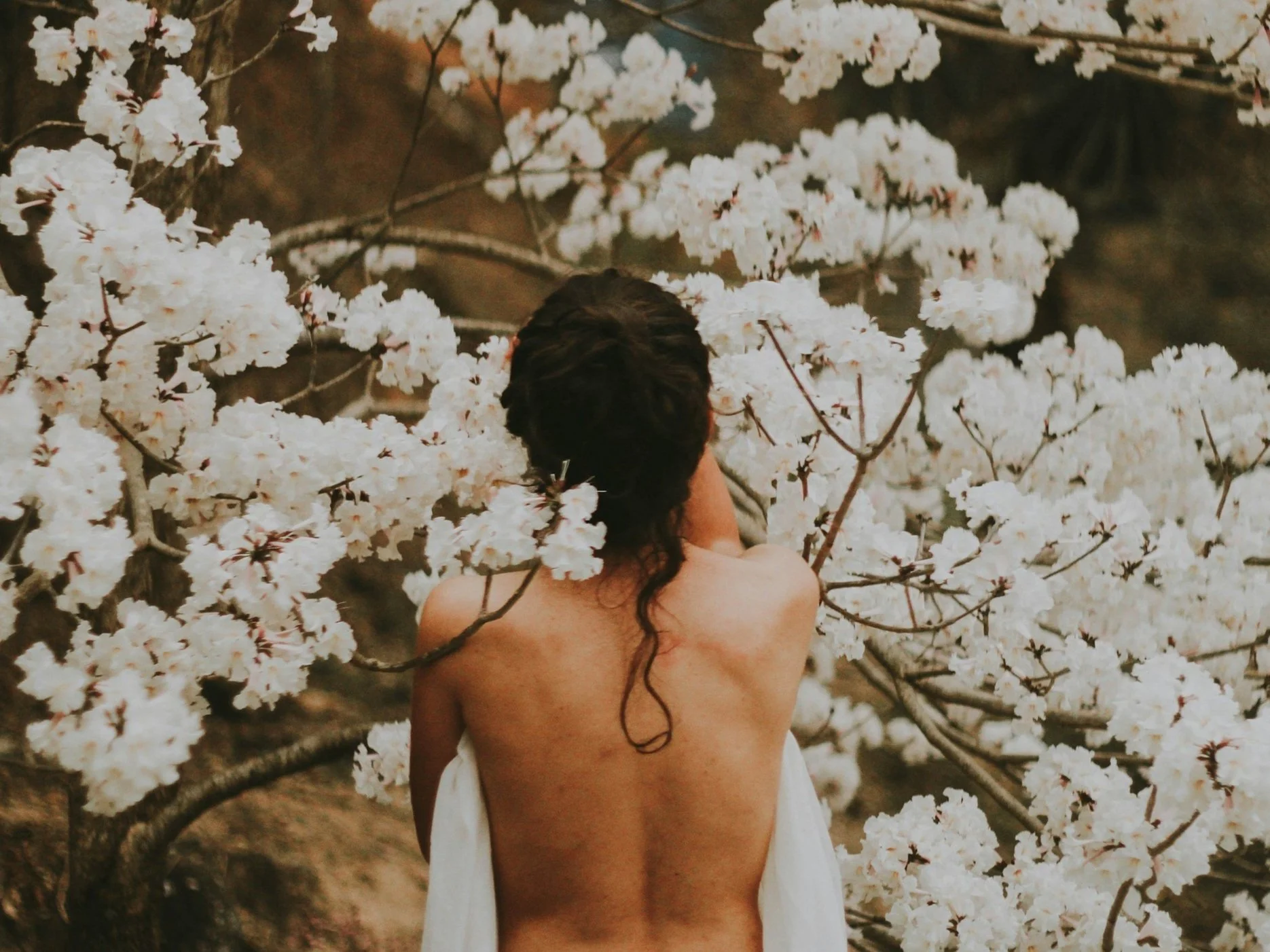 Woman with long dark hair, seen from the back, standing among blooming cherry blossom trees with white flowers. Woman appears comfortable with her body, aligned with self and integrated in nature, rooted in belonging to the earth, embodied wholeness.