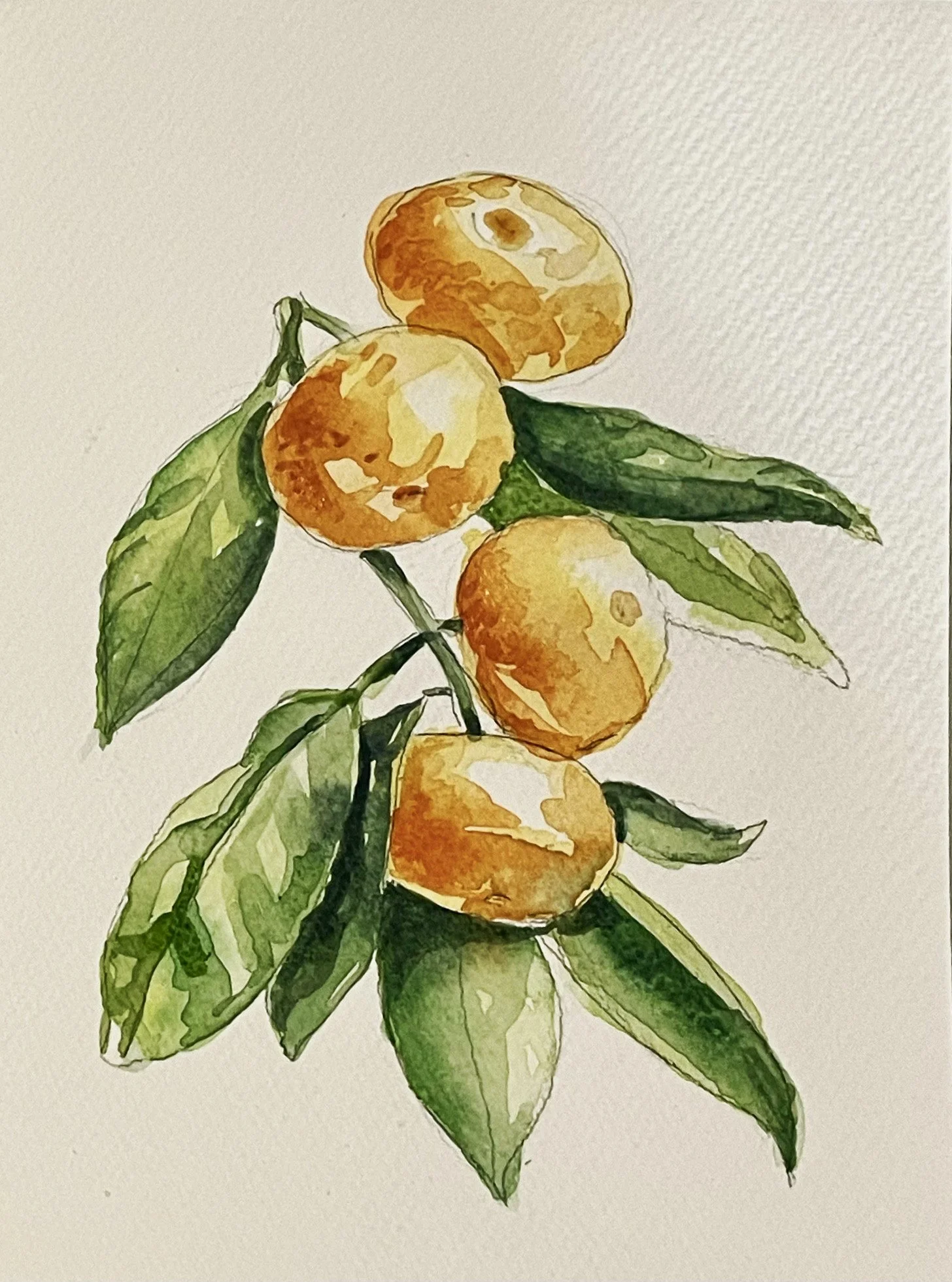 8. KCH Oranges.jpg