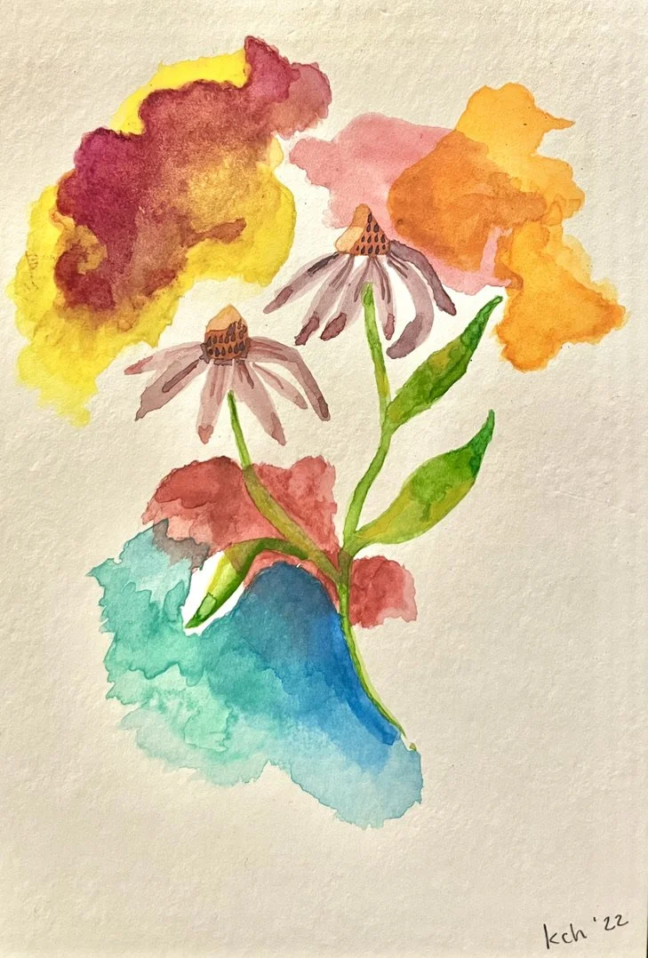 5. KCH Echinacea.jpeg