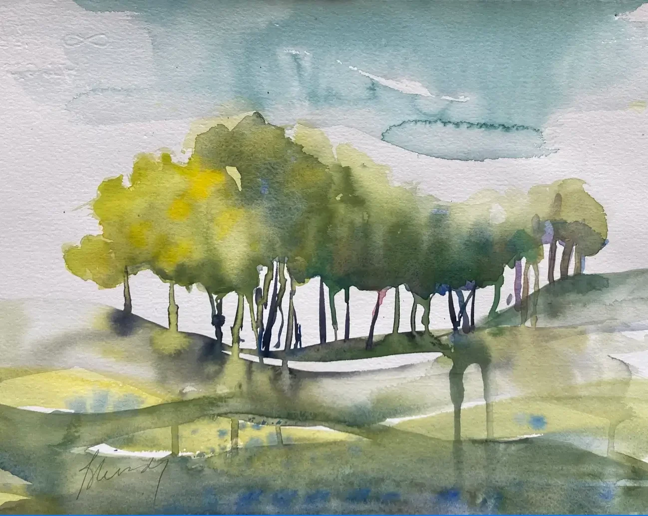 Sheep Fields   14x10   unframed   $400