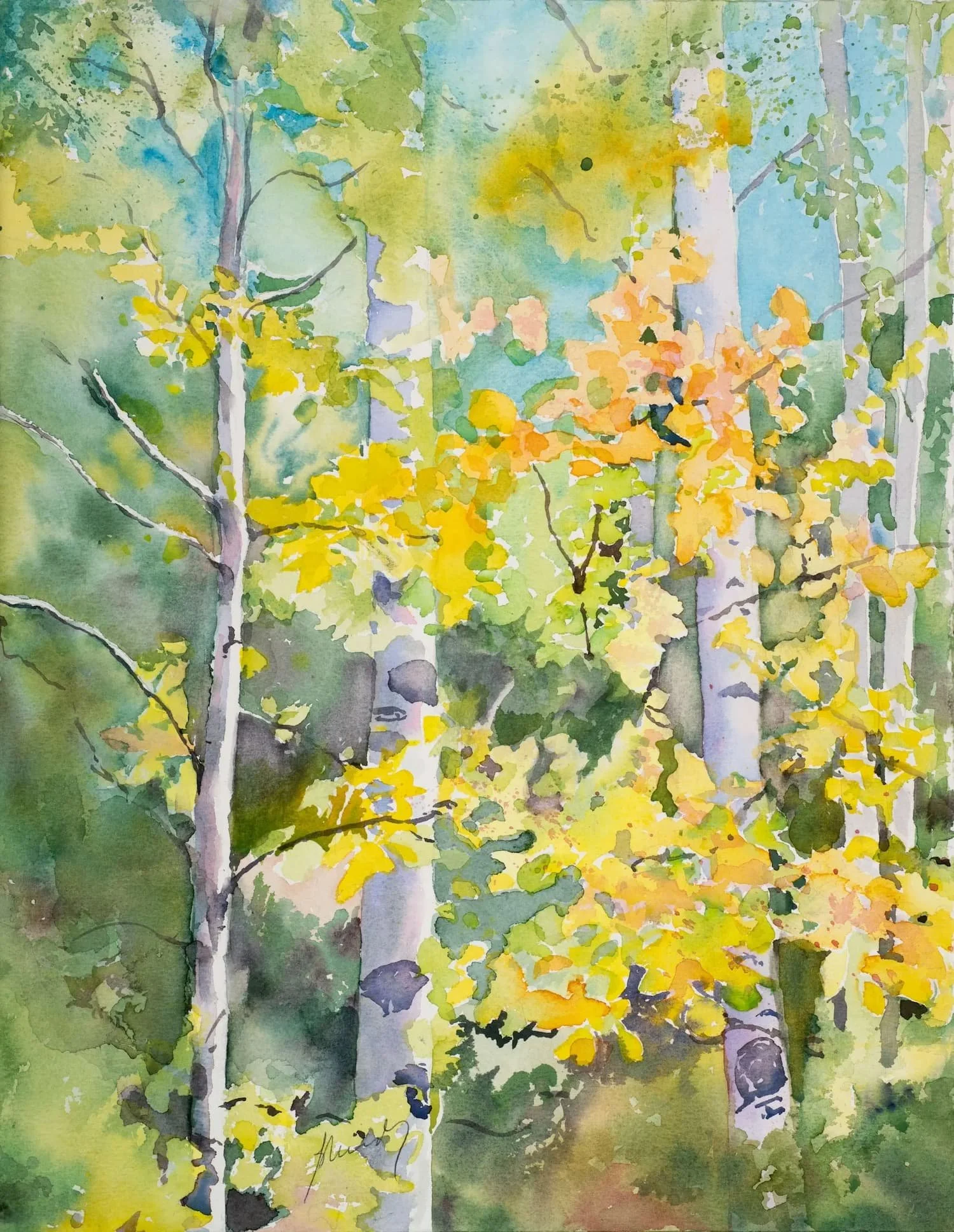 Birch Forest   15x19   unframed   $500