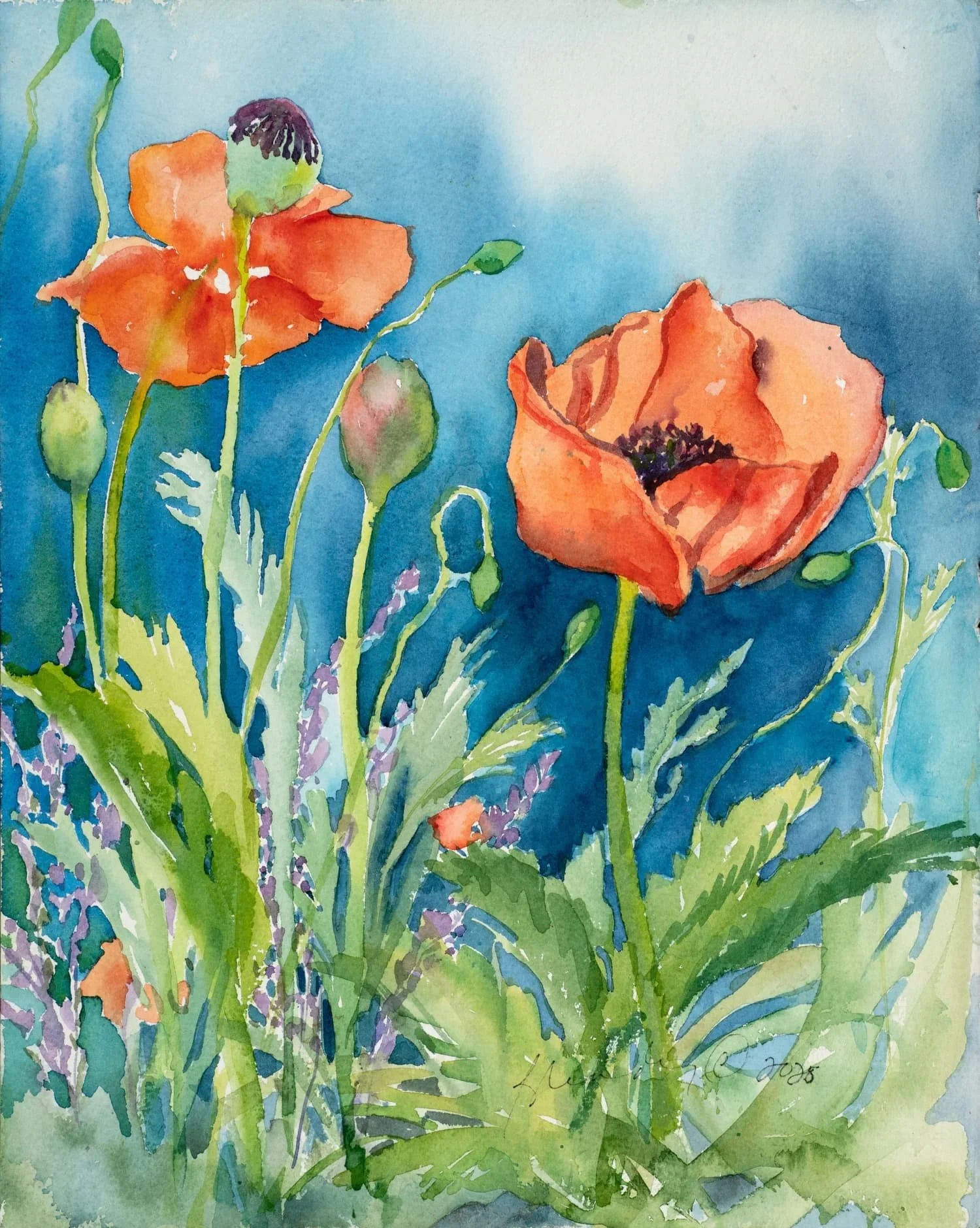 Poppies   12x16   unframed   $400  