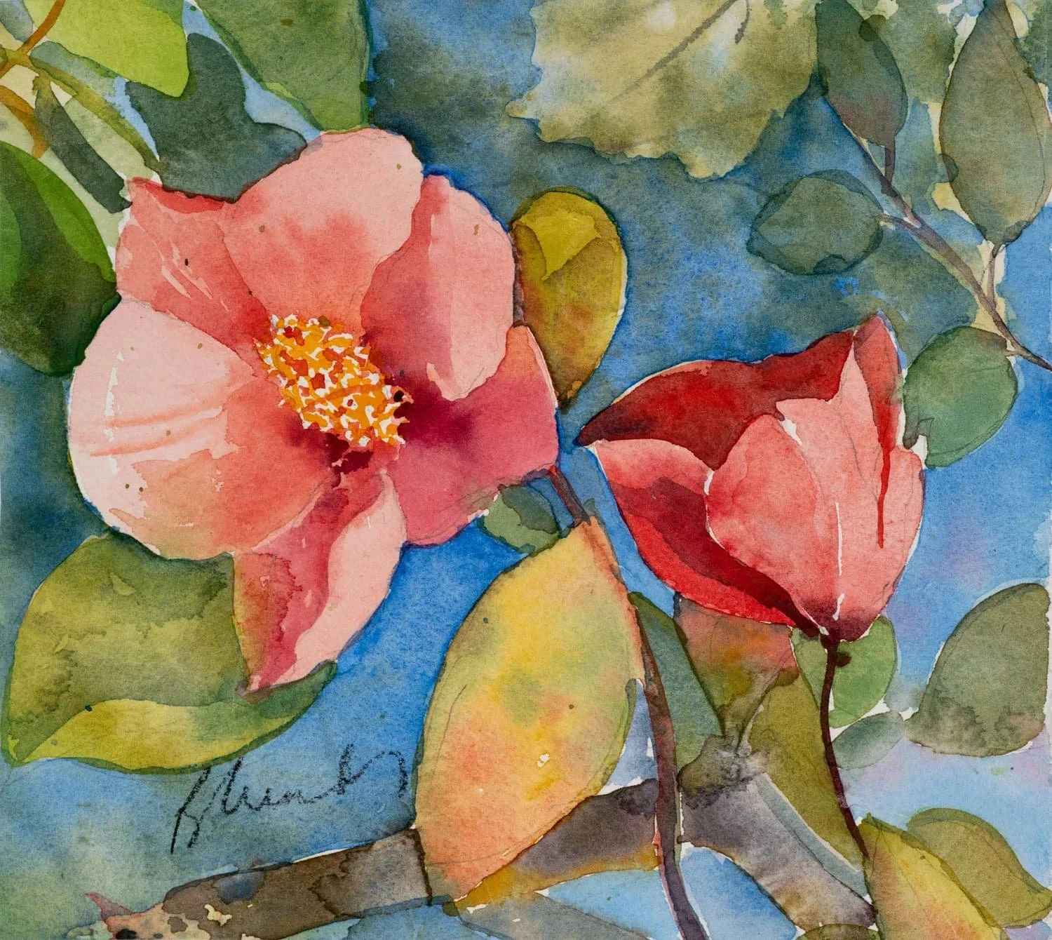 Camilia   8x7   unframed   $300    