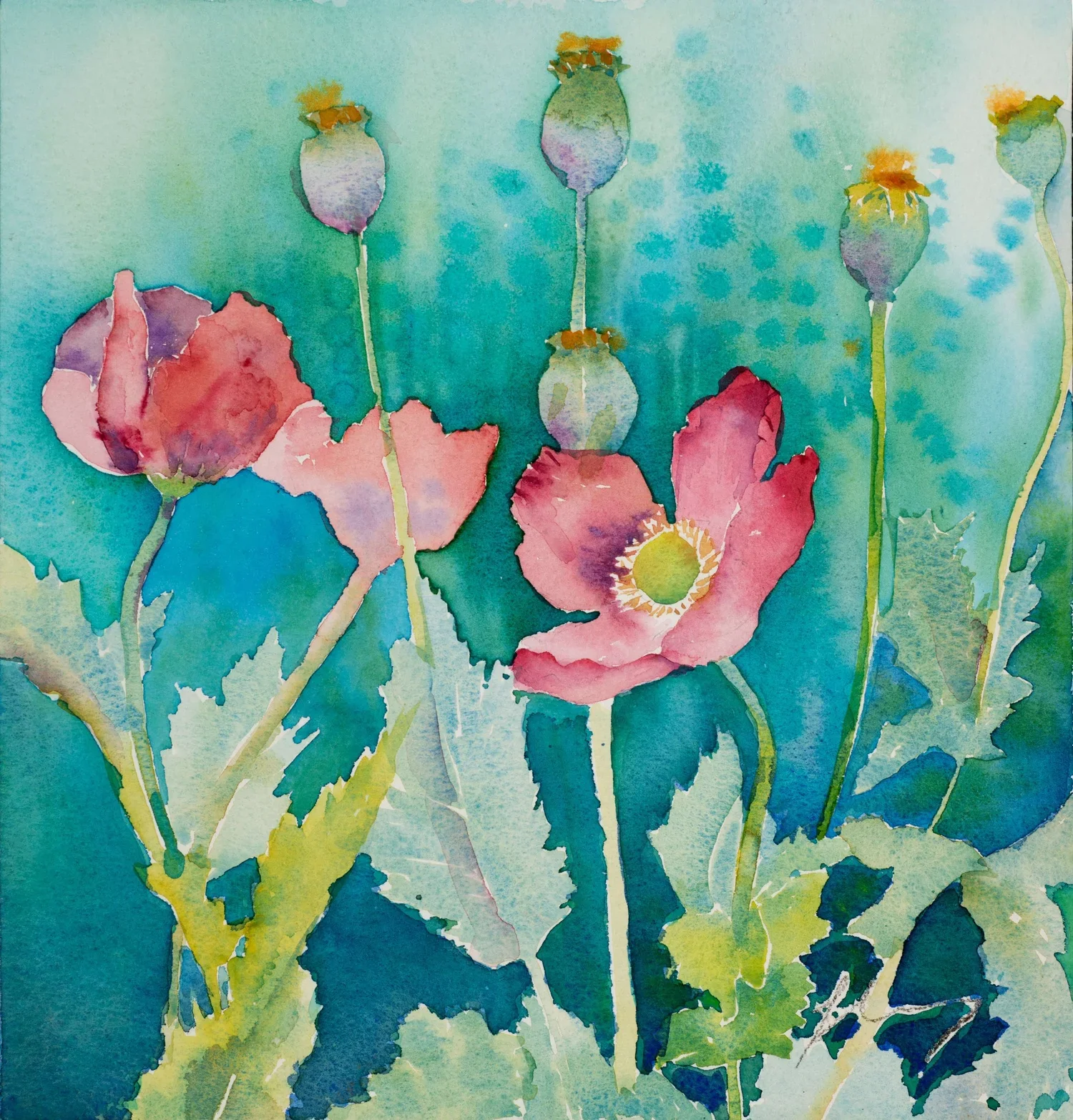 Soft Poppies   11x11   unframed   $350