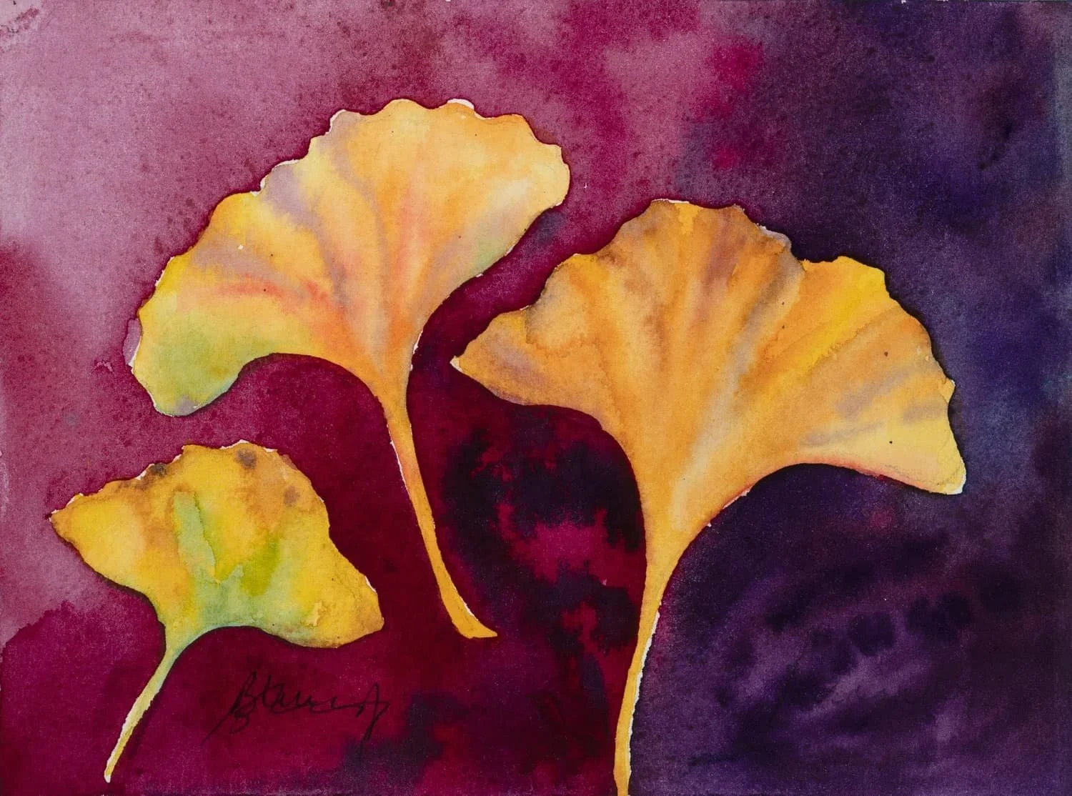 Ginkgo   8x6 unframed    $300    