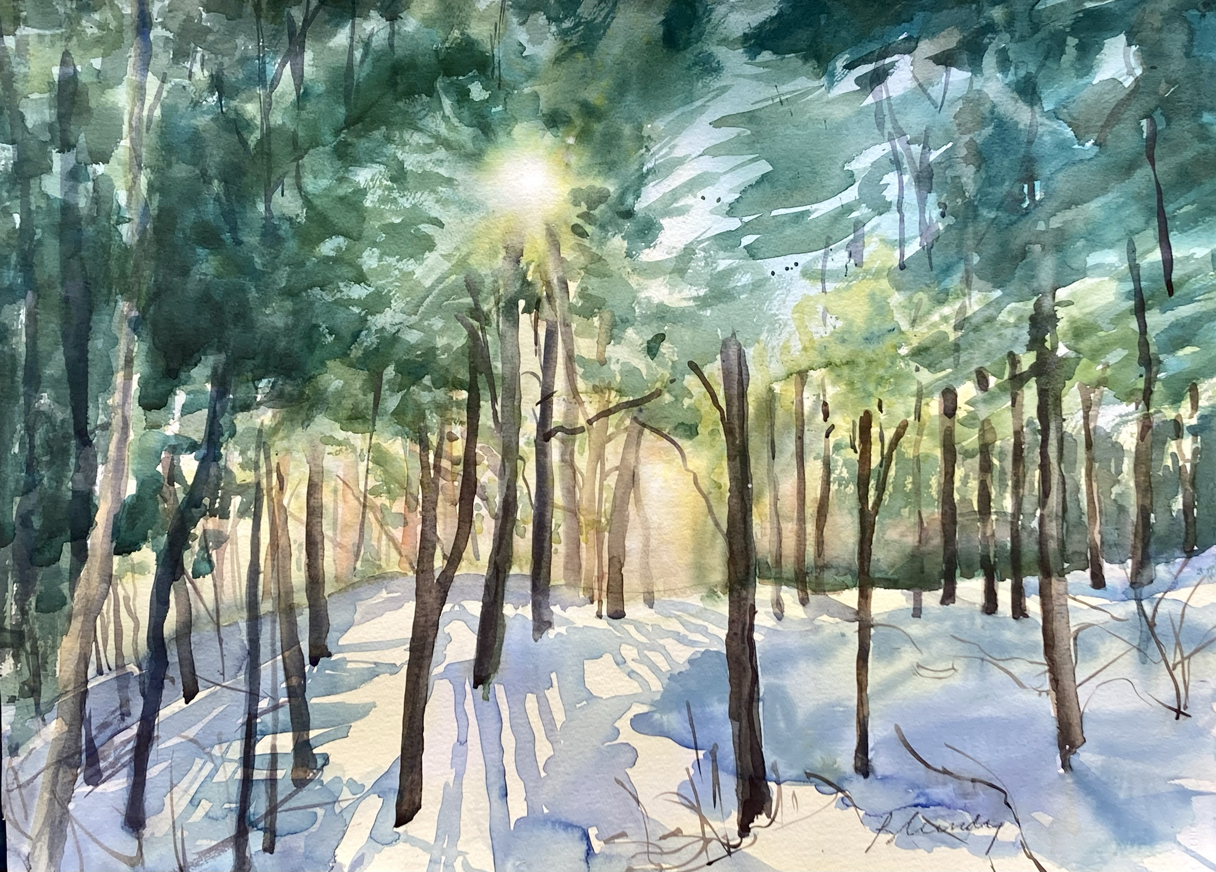 Sunrise Winter Woods   $900