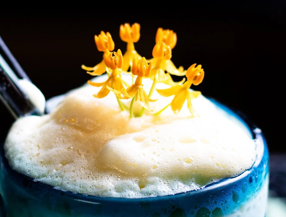 Jenko Images-1956 copy.jpg