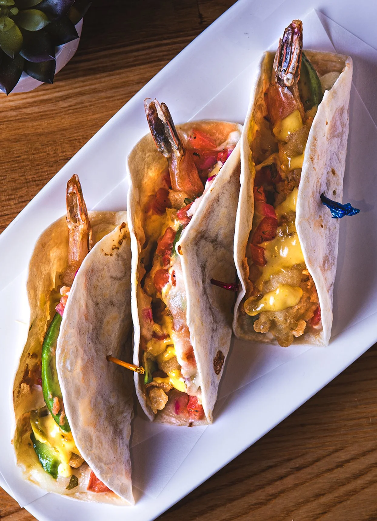 Jenko Images-919-2 copy.jpg