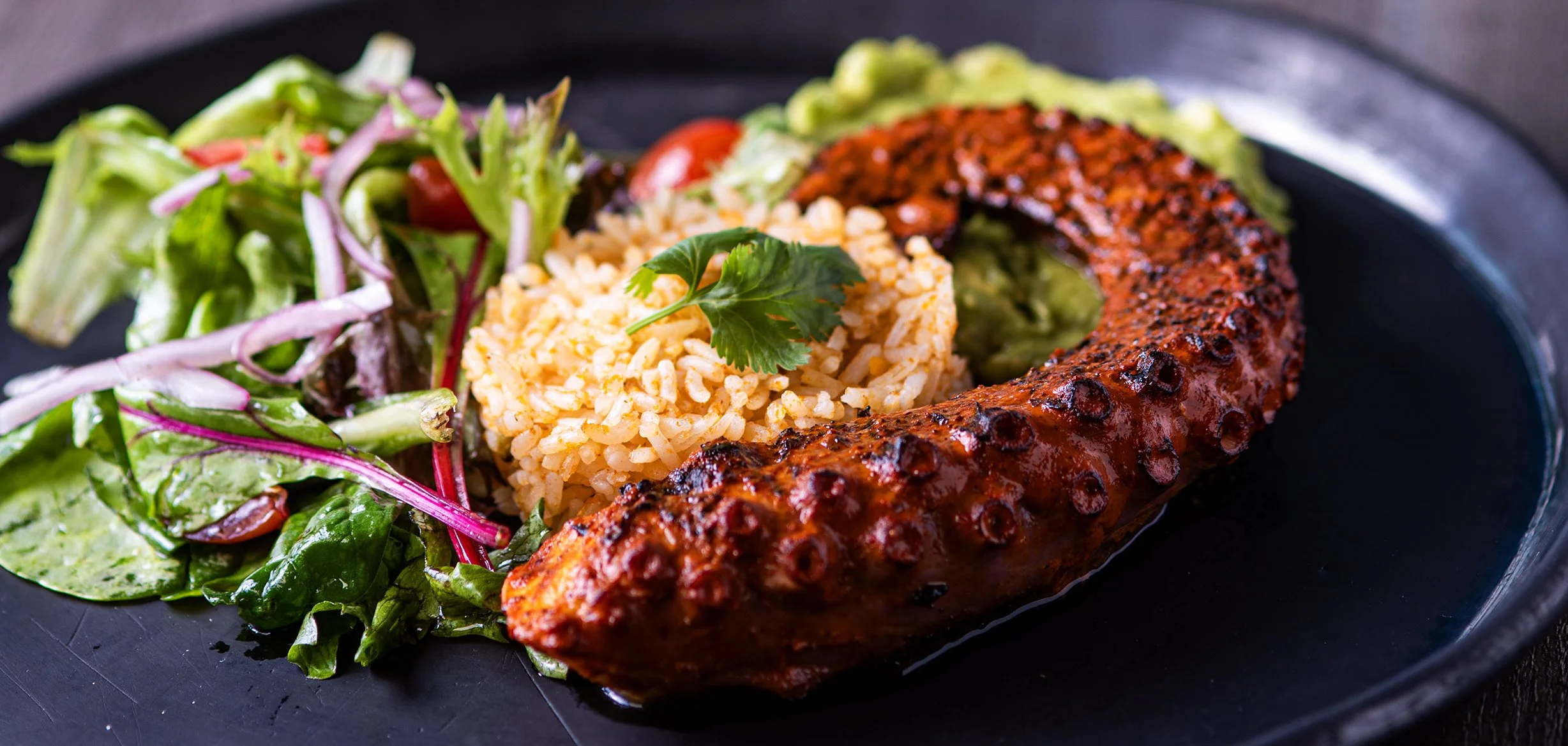 Jenko Images-1701 copy.jpg