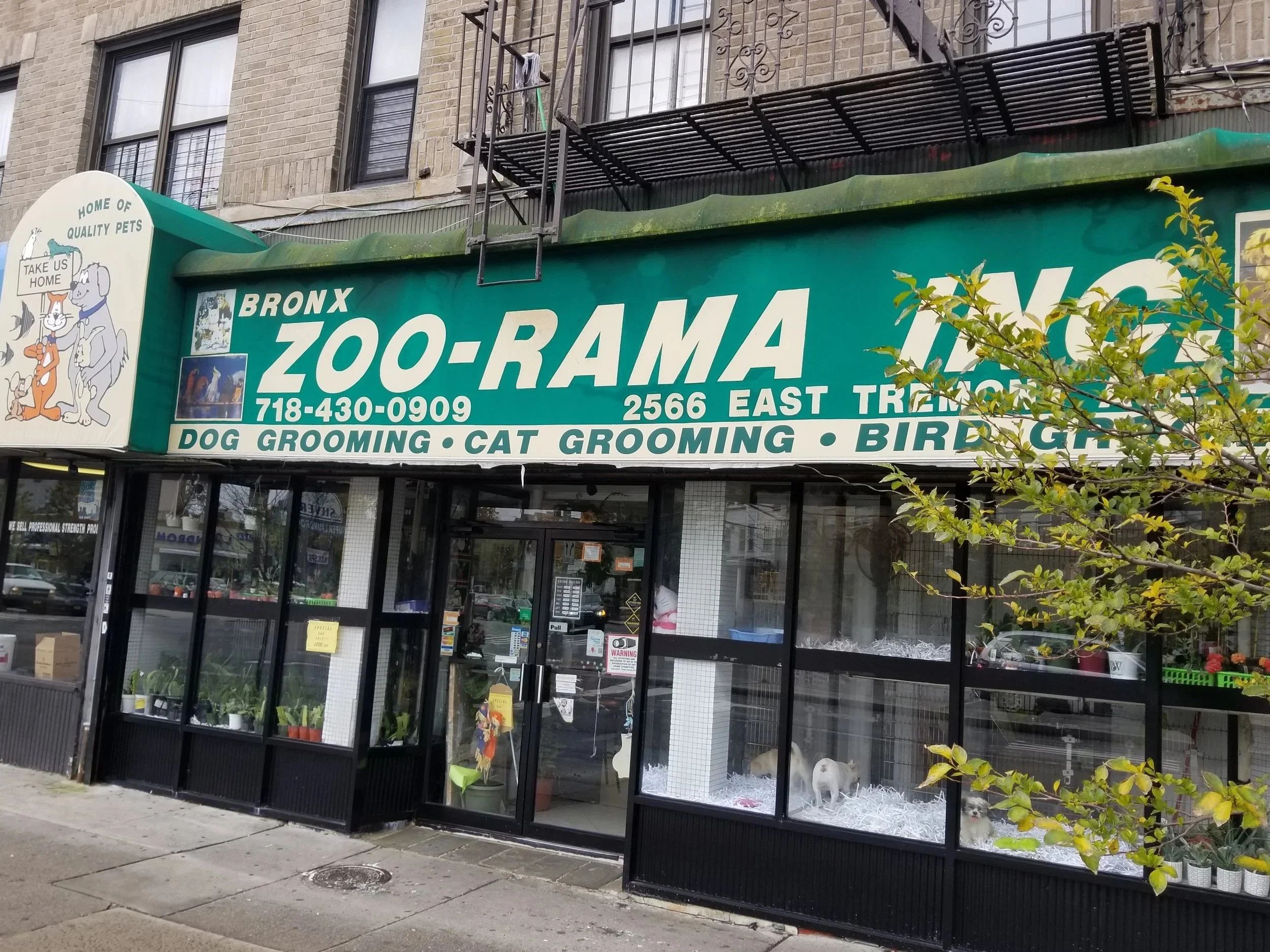 Image of Zoorama Pet Grooming and Supplies store front in the Bronx, New York
