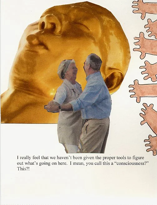 I really feel that we haven't been given the proper tools to figure out what is going on here.  I mean, you call this a  "consciousness?"  This?