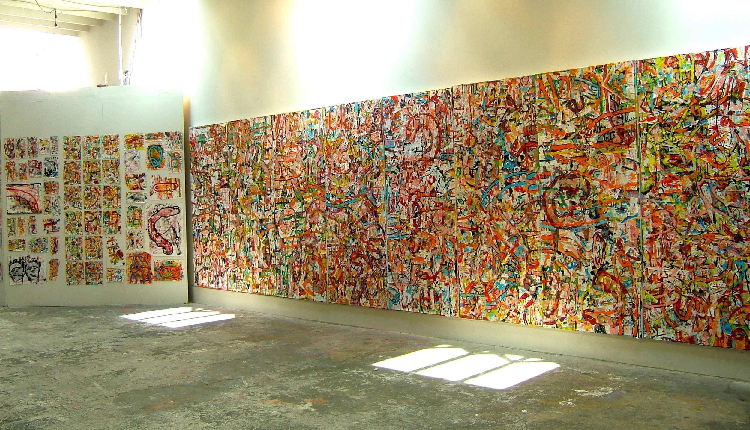 Conference of the Birds, installation view w/ drawings