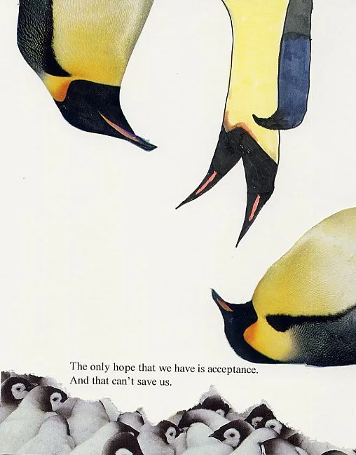 The only hope that we have is acceptance.  And that can't save us.