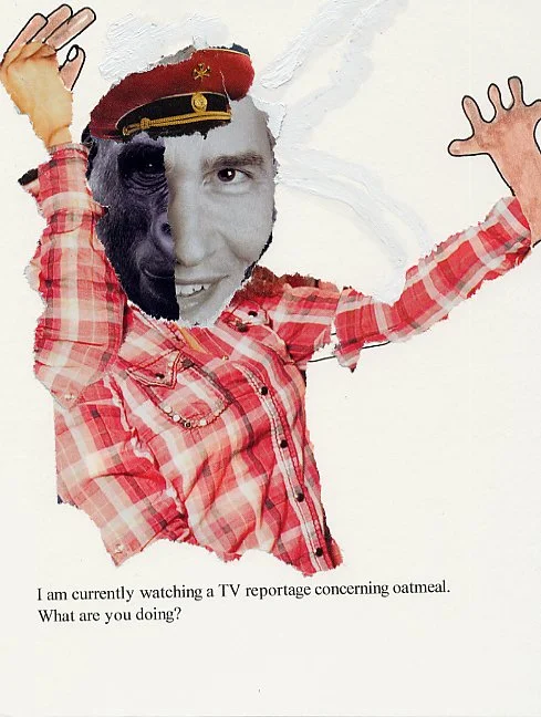 I am currently watching a TV reportage concerning oatmeal.  What are you doing?