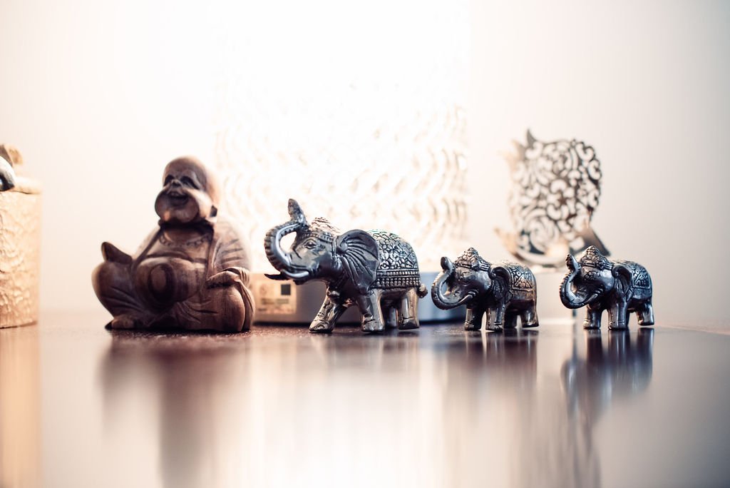 Codependency Through a Biological Lens