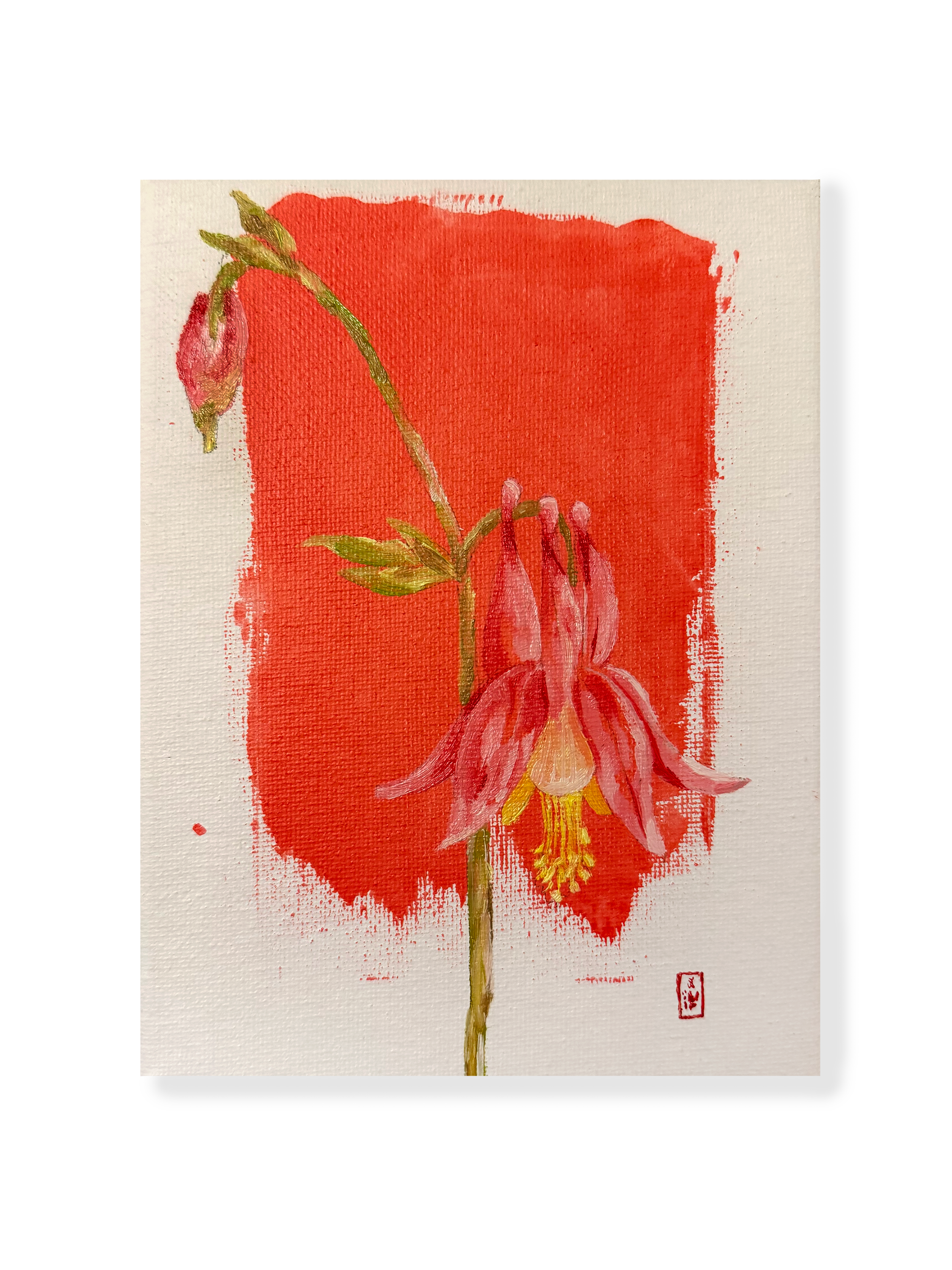 Eastern Red Columbine_3.png