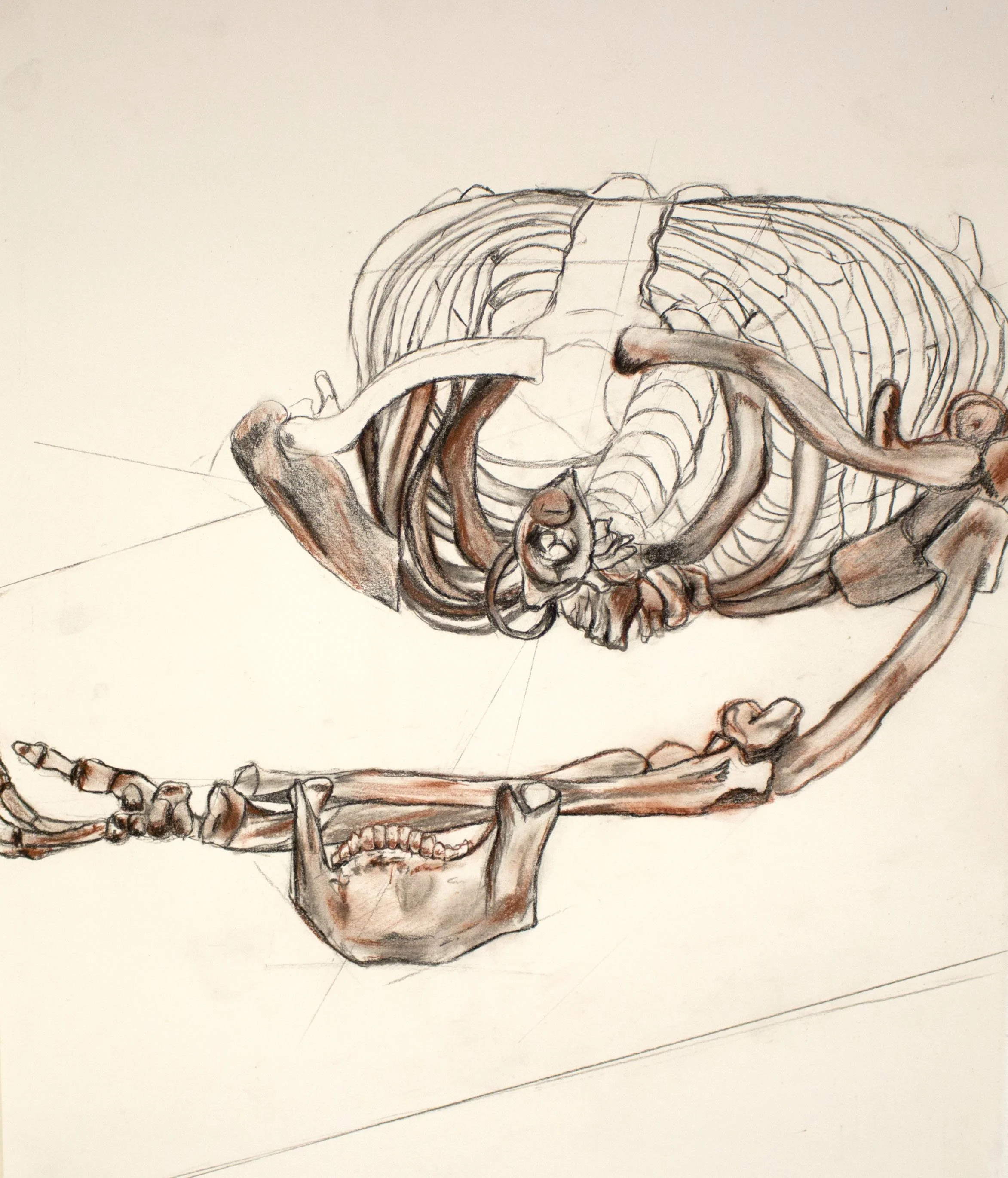 Unit1_Foreshortened Skeleton_UgucciniElisa.jpg