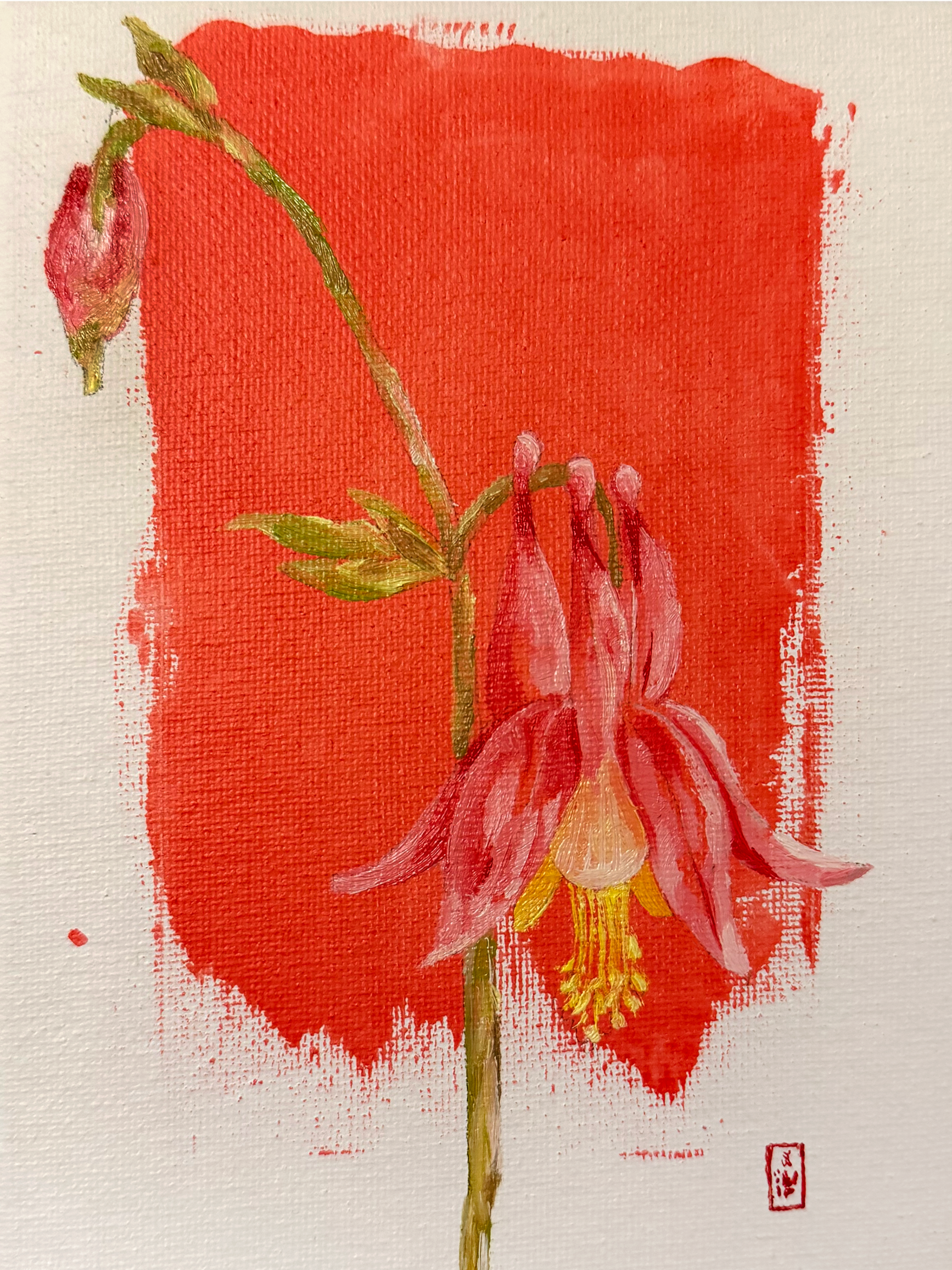 Eastern Red Columbine - Conservation Mini Original