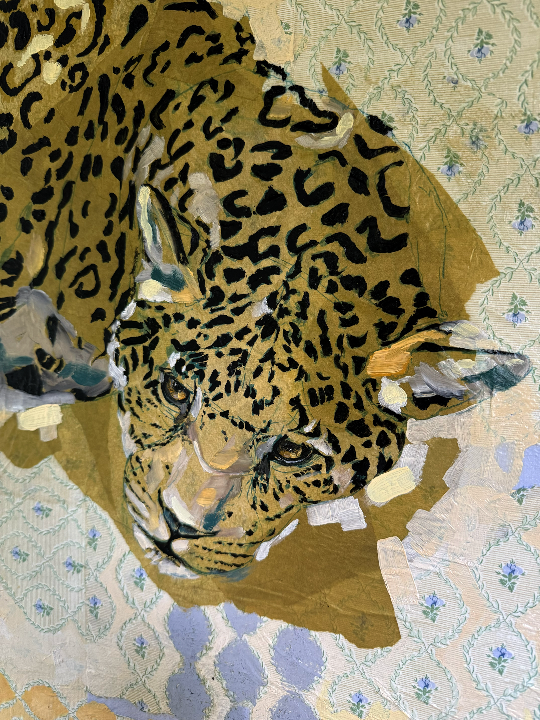 Jaguar_2.png