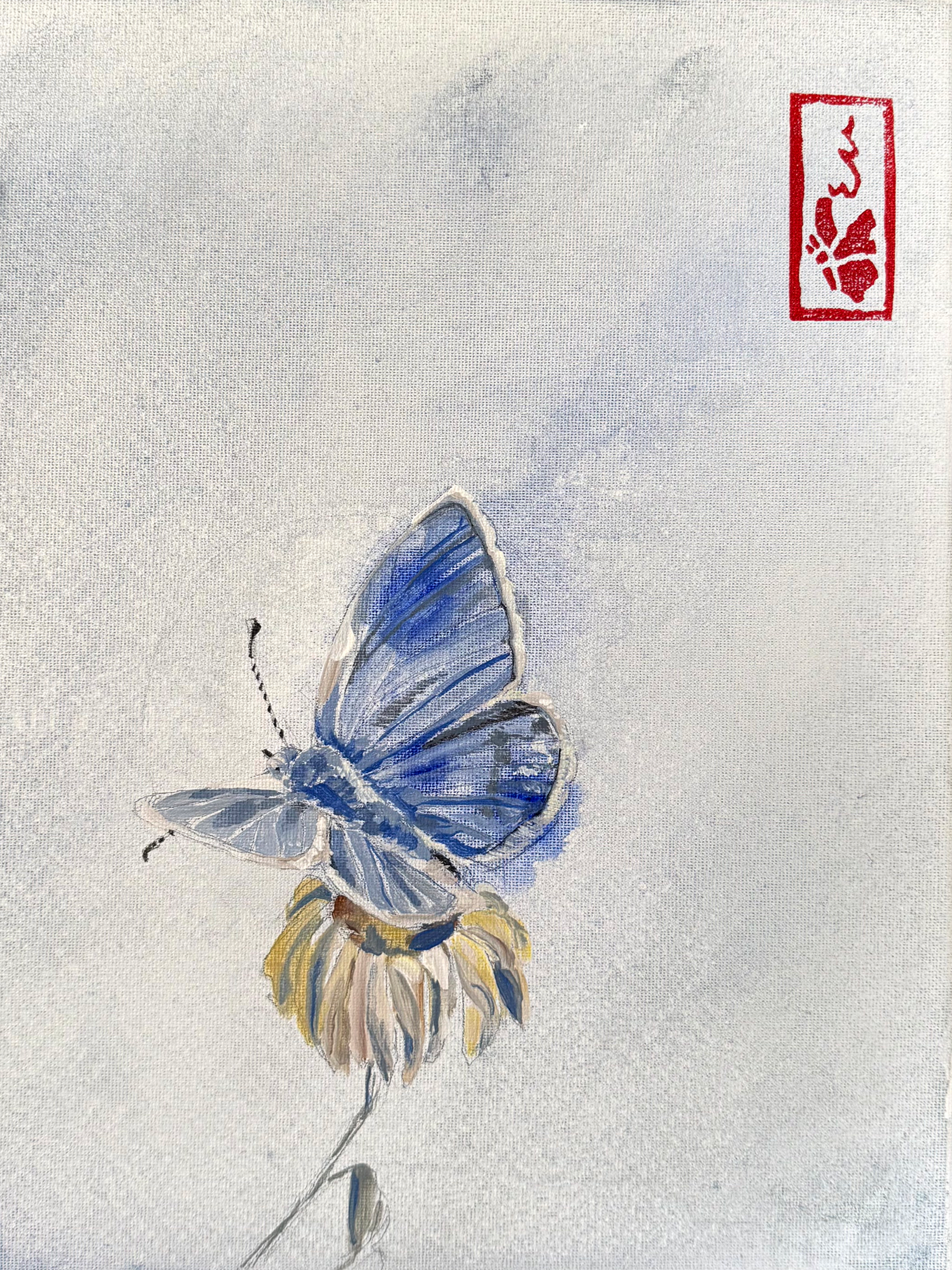 Mission Blue Butterfly - Conservation Mini Original