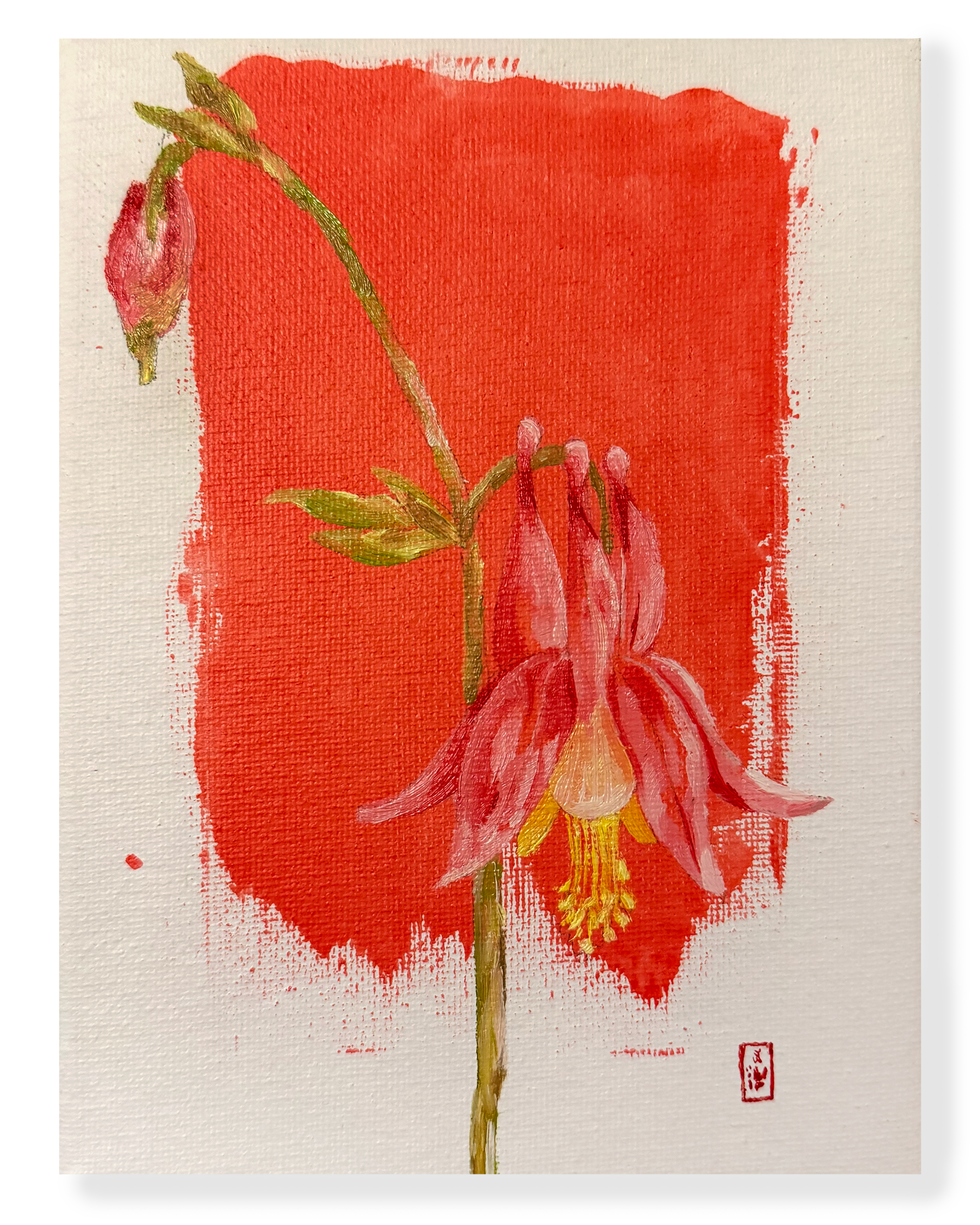 Eastern%2BRed%2BColumbine_3.png