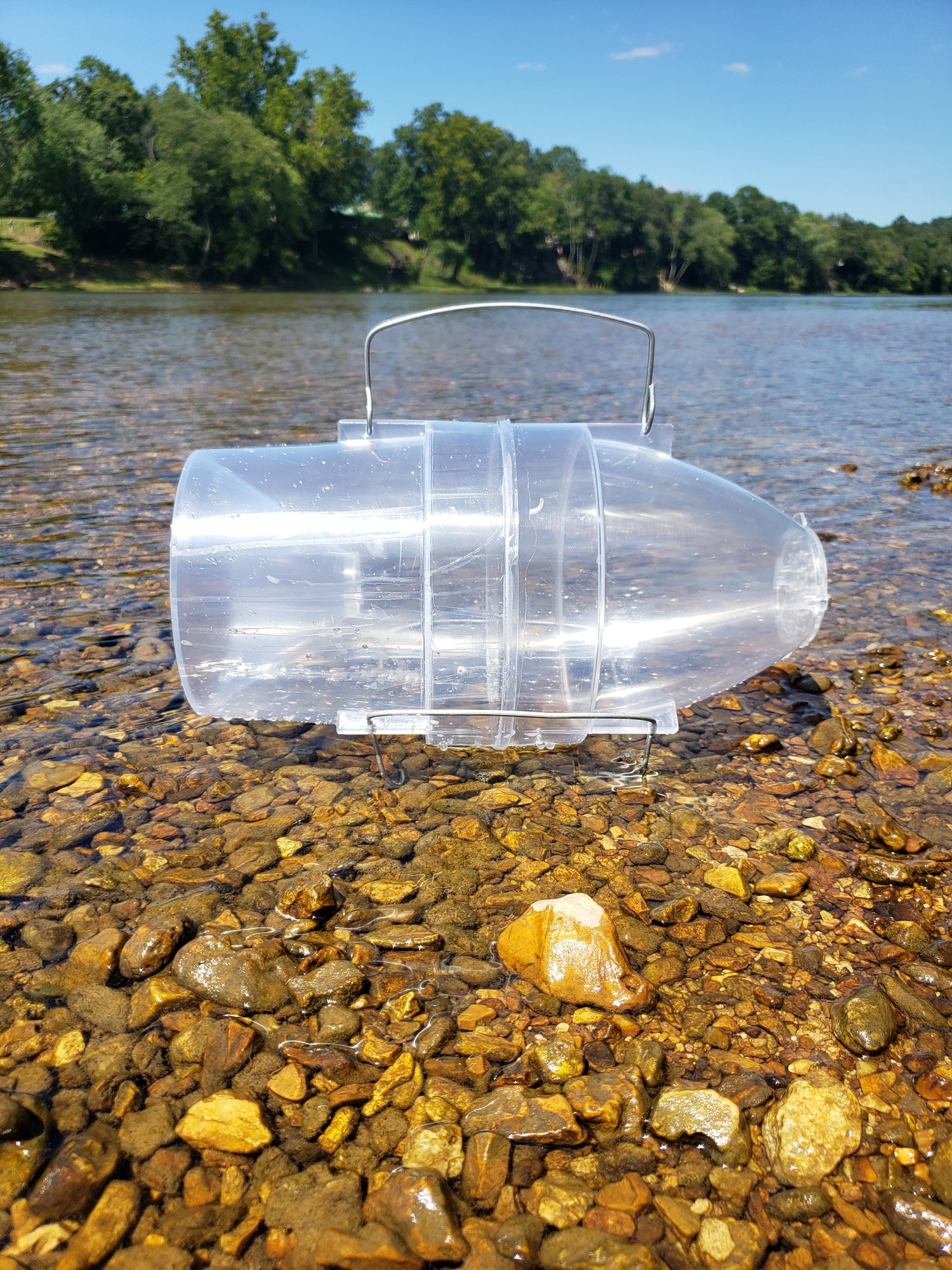 The Royal Minnow Trap with free shipping in the USA — Big Springs